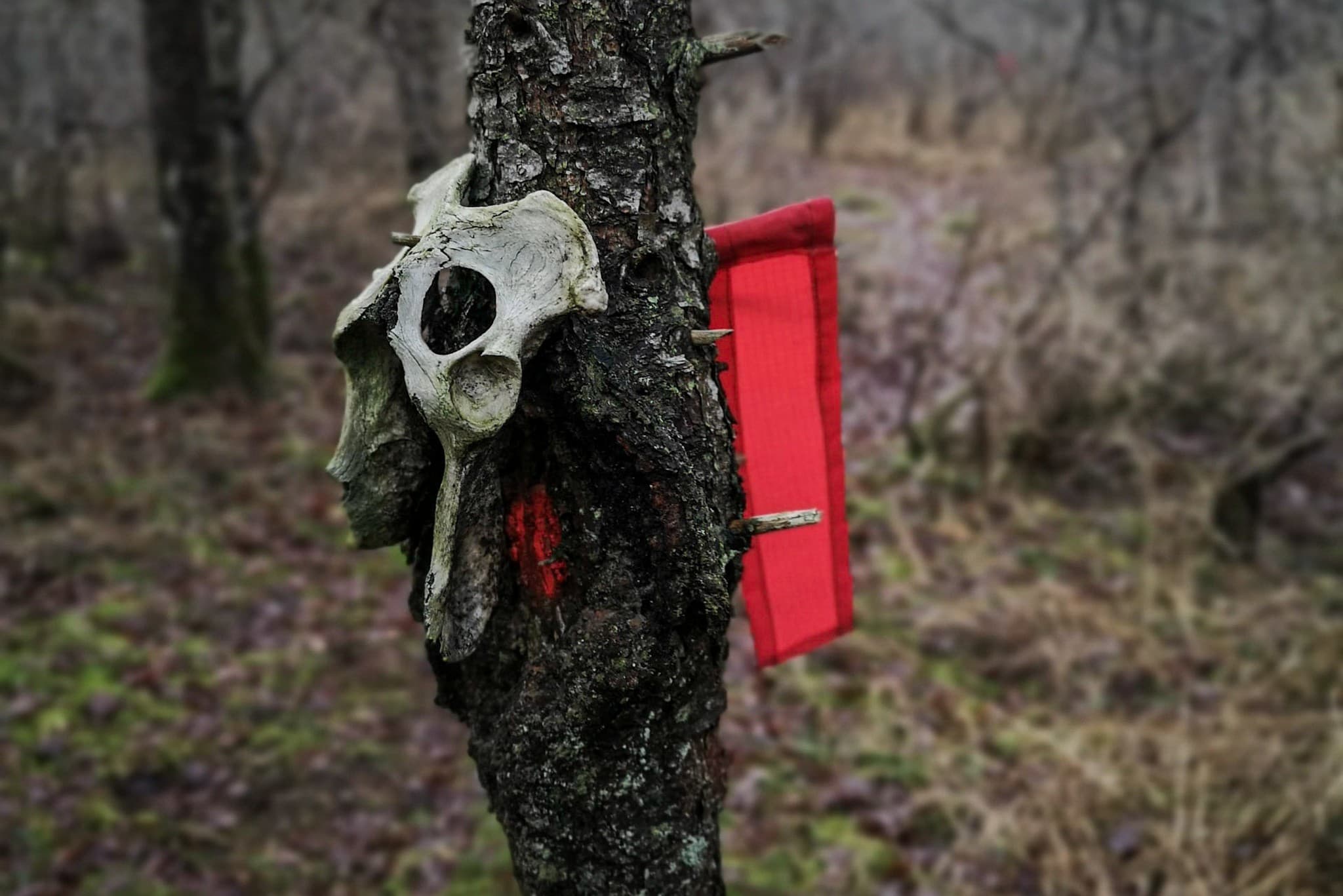 wp-16765641178222355721021888209895