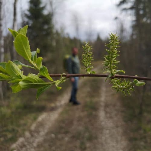 1-IMG_20200517_150121