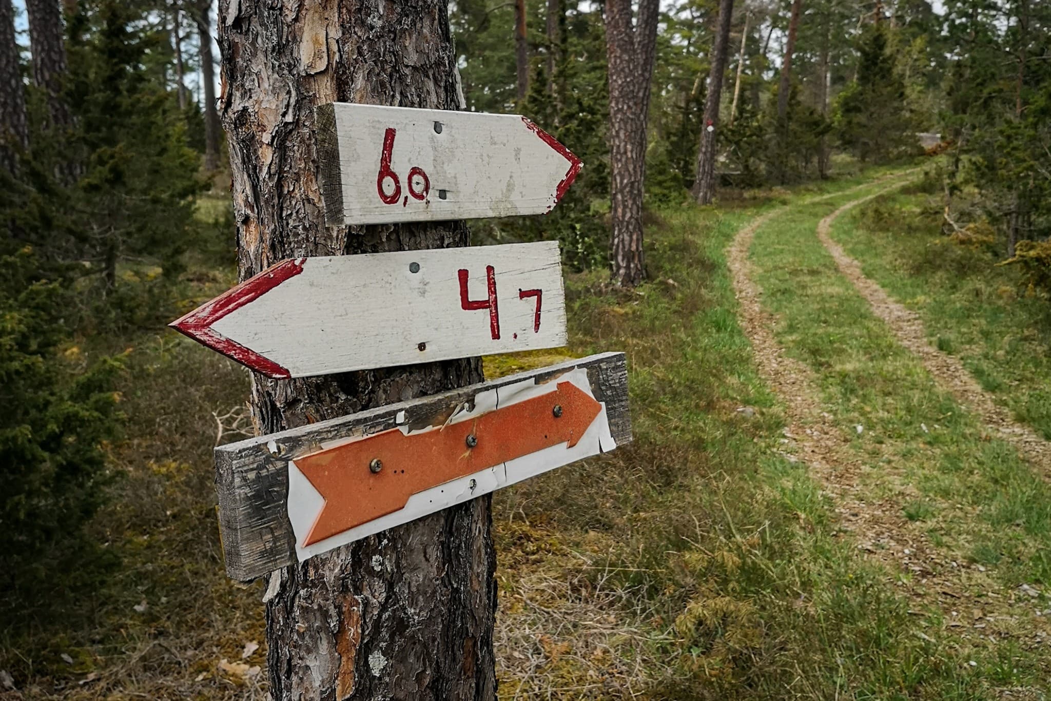 wp-16767954285877524197778278608618