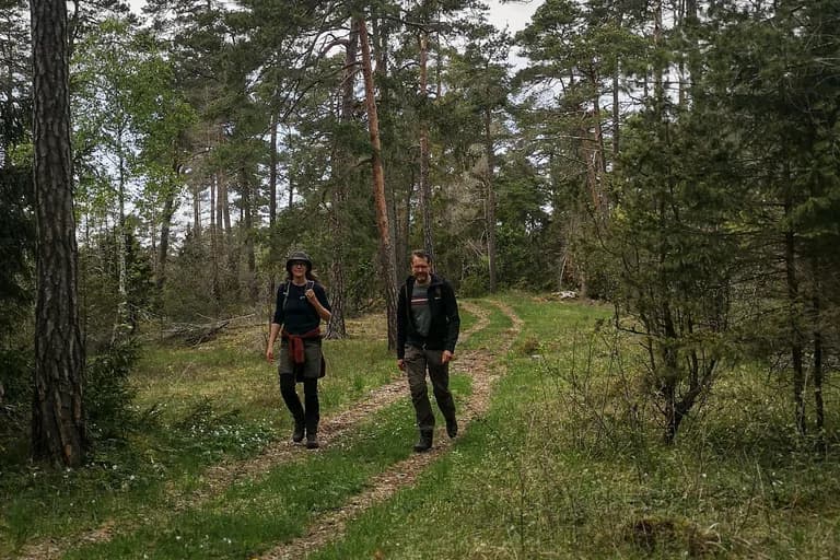 wp-16767970340262511823167744584504