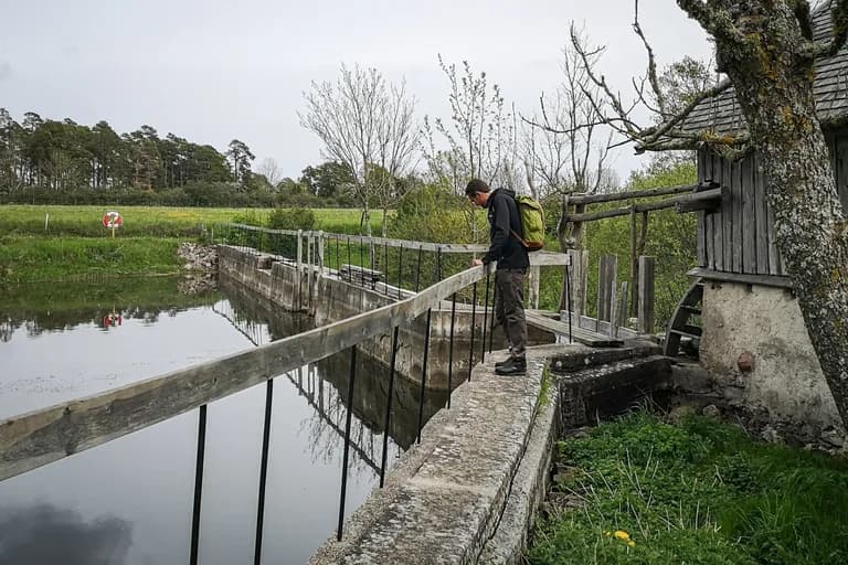 wp-16768004733631976841793400149415