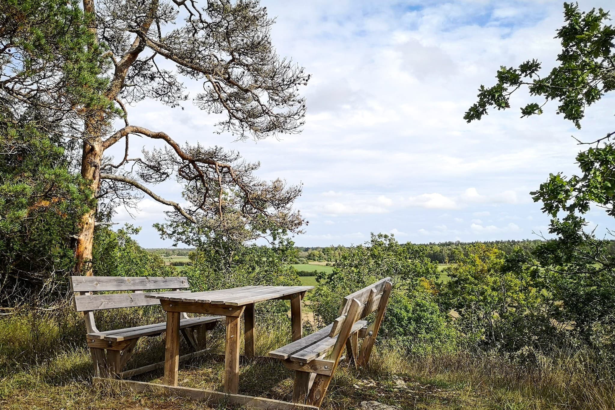 wp-16768282074622786771943115925203