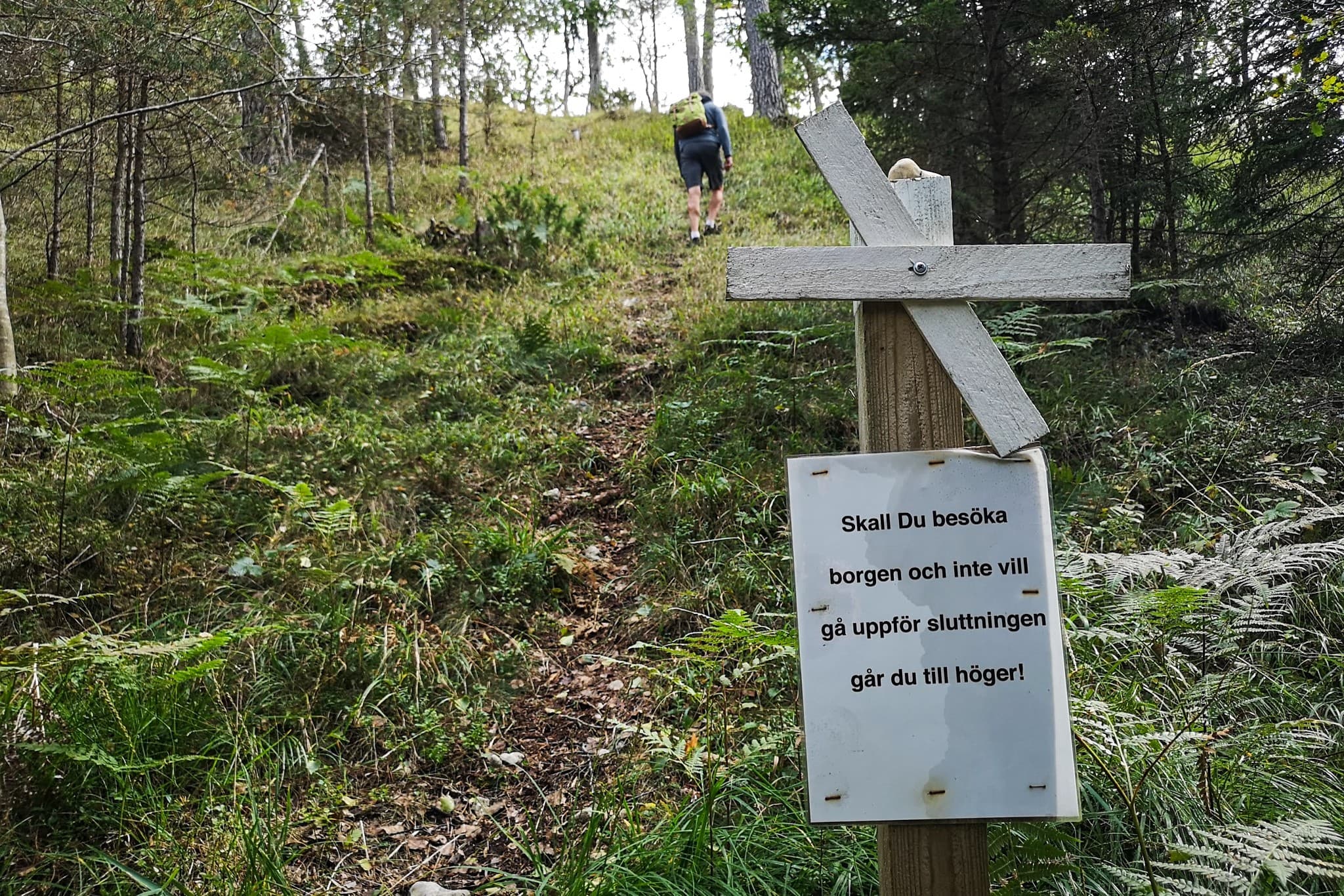 wp-16768282087717324670504931449170