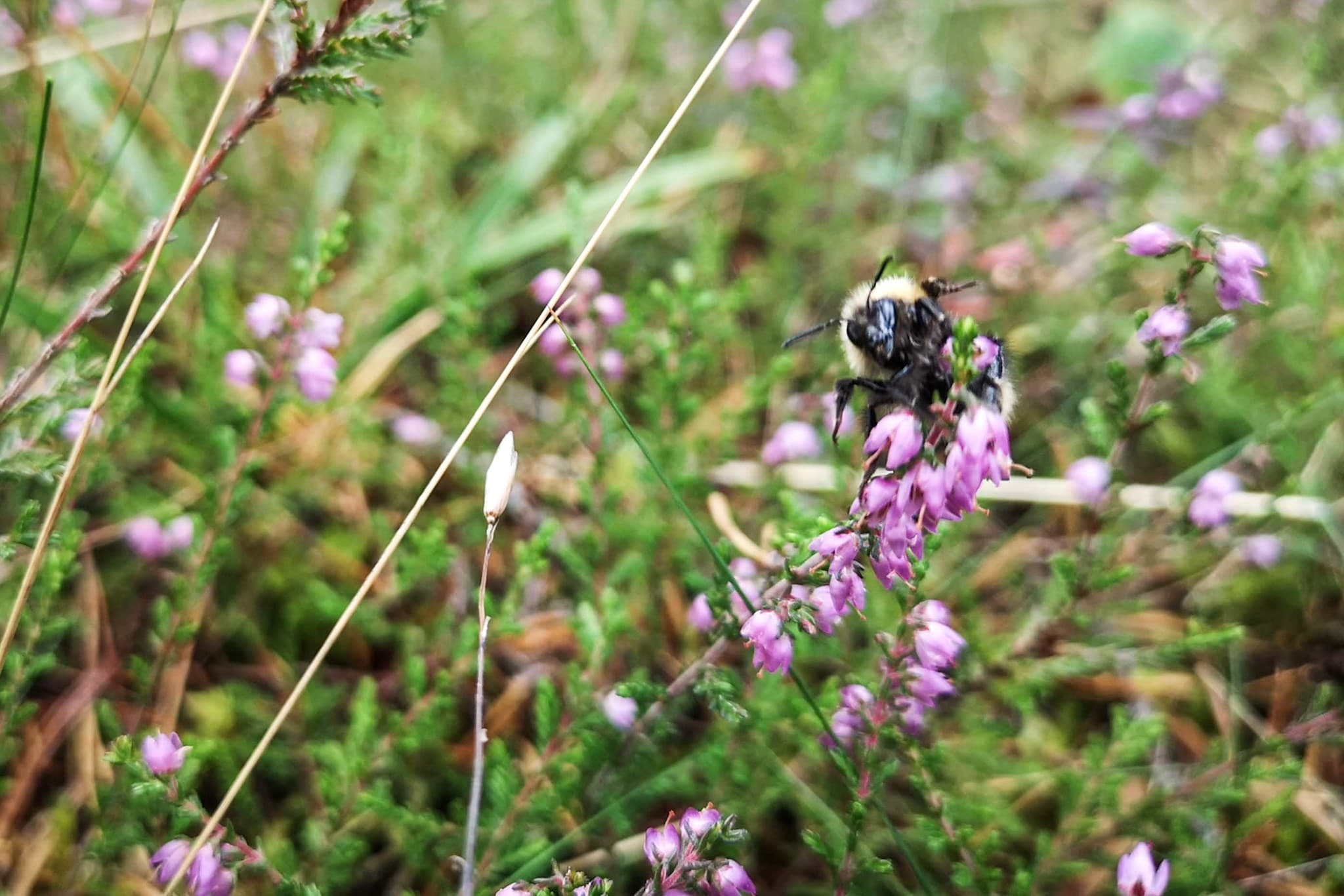 wp-16768282096644724837961279700861