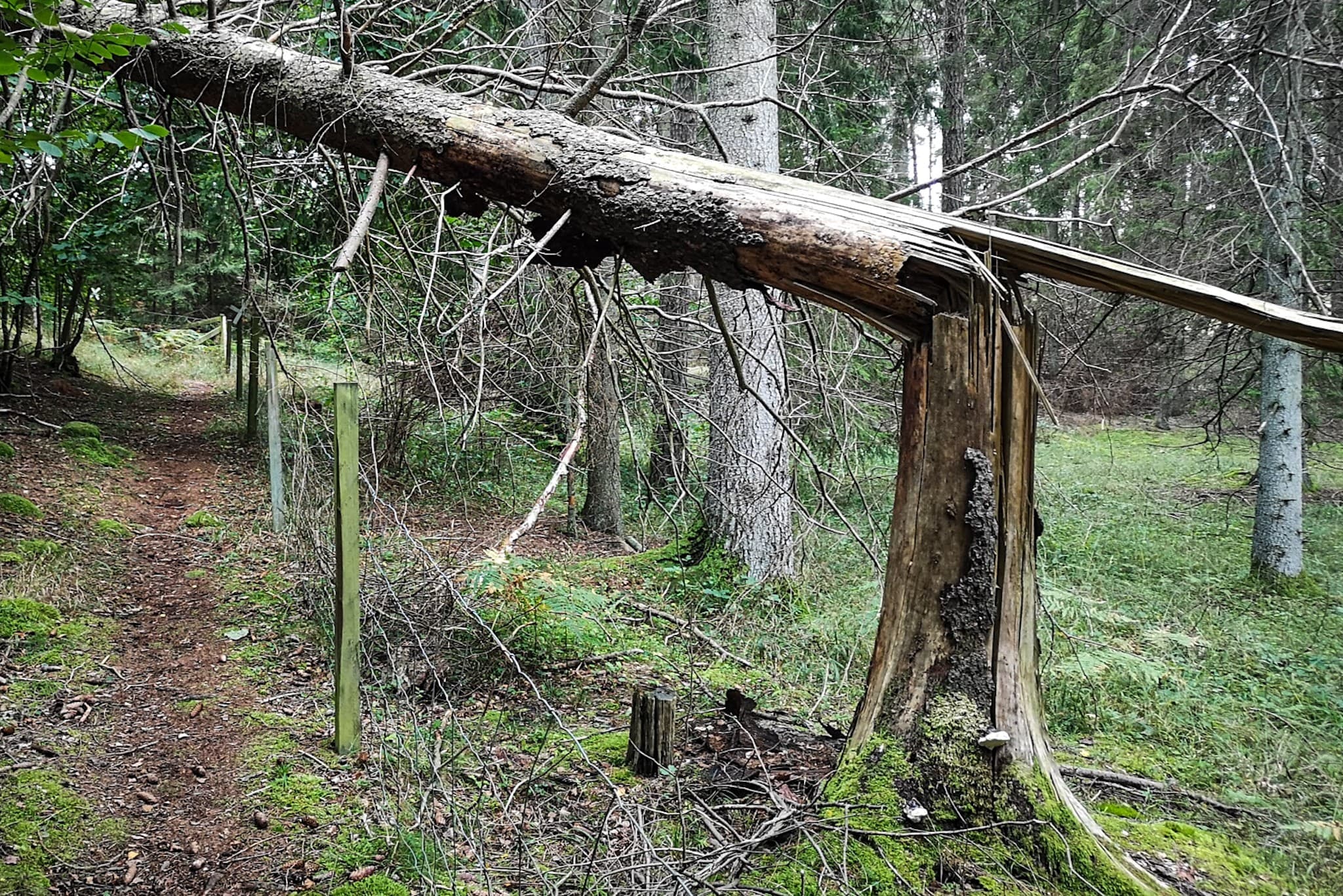 wp-16768282092507009927297912843582