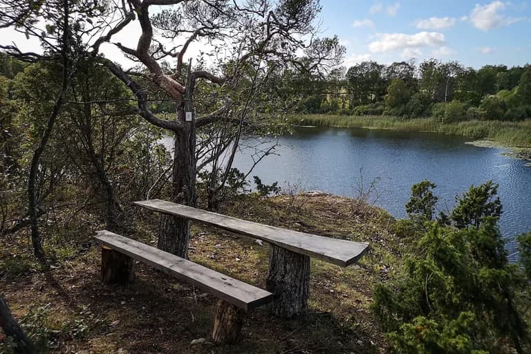 wp-16768282097958930263810847555655