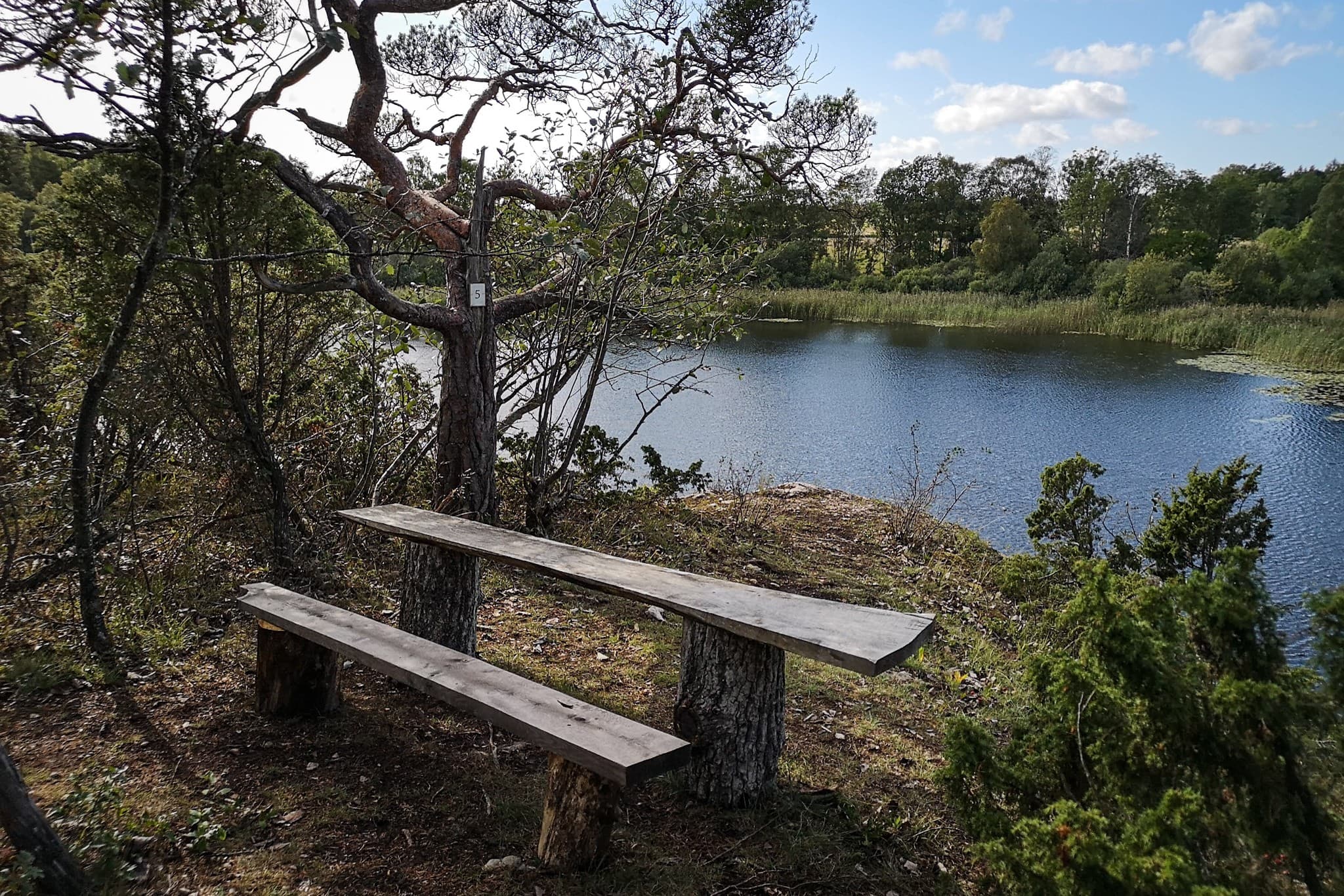 wp-16768282097958930263810847555655