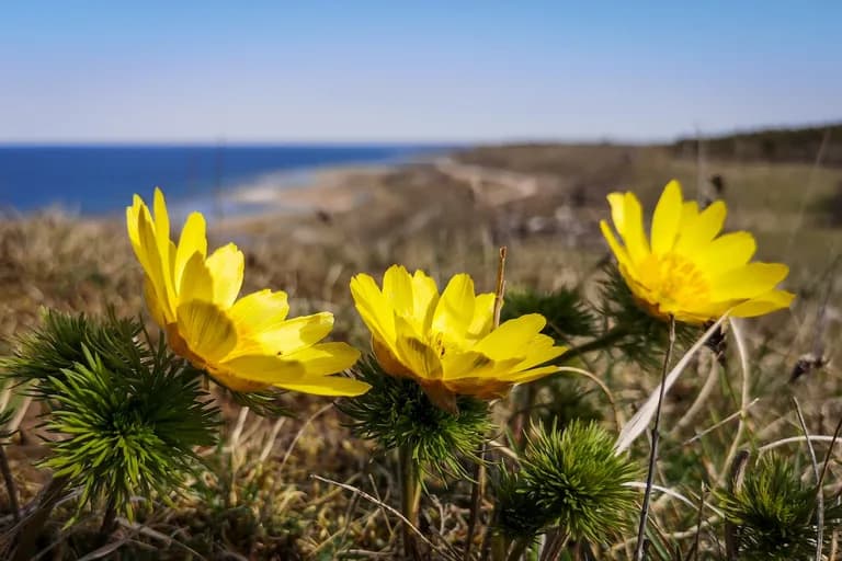 wp-1677320976928774417635151473922