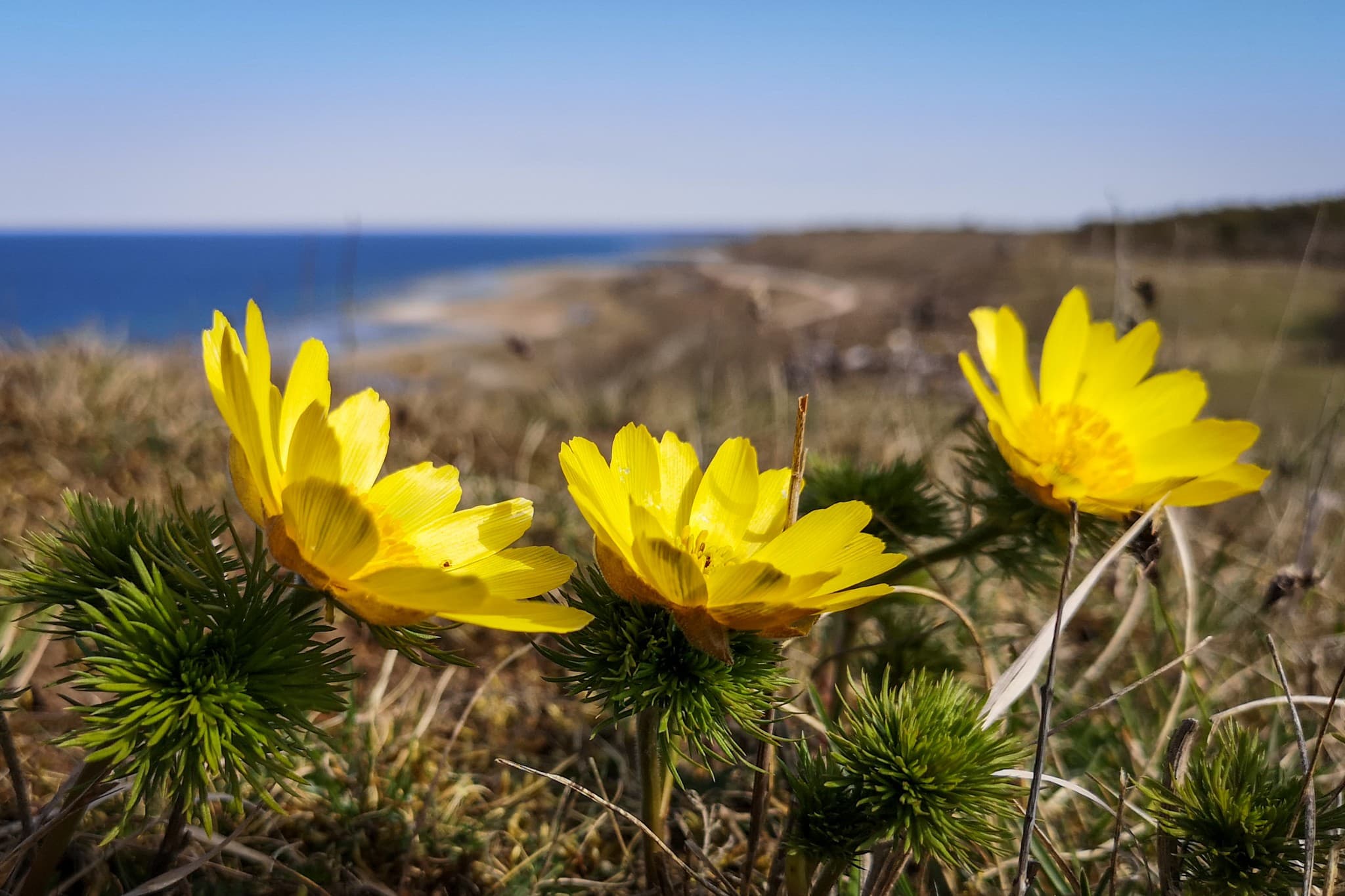 wp-1677320976928774417635151473922