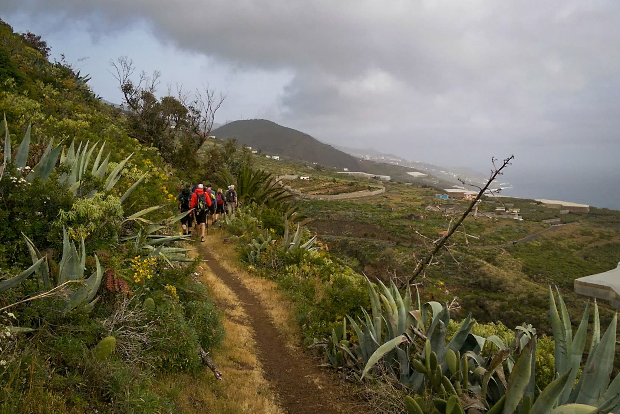 wp-16773589048993556295729100840904