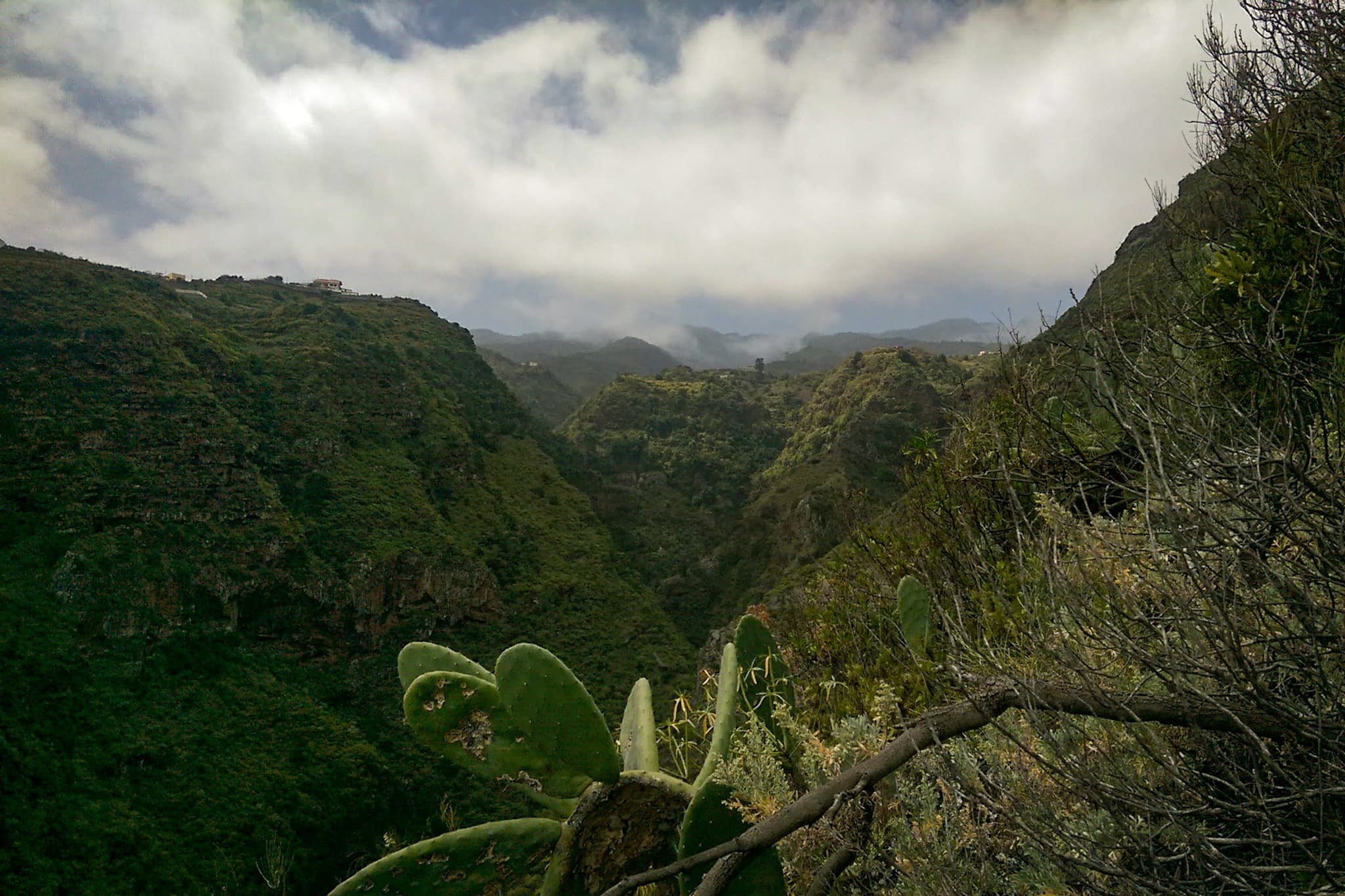 wp-16773589050669086148441310006888