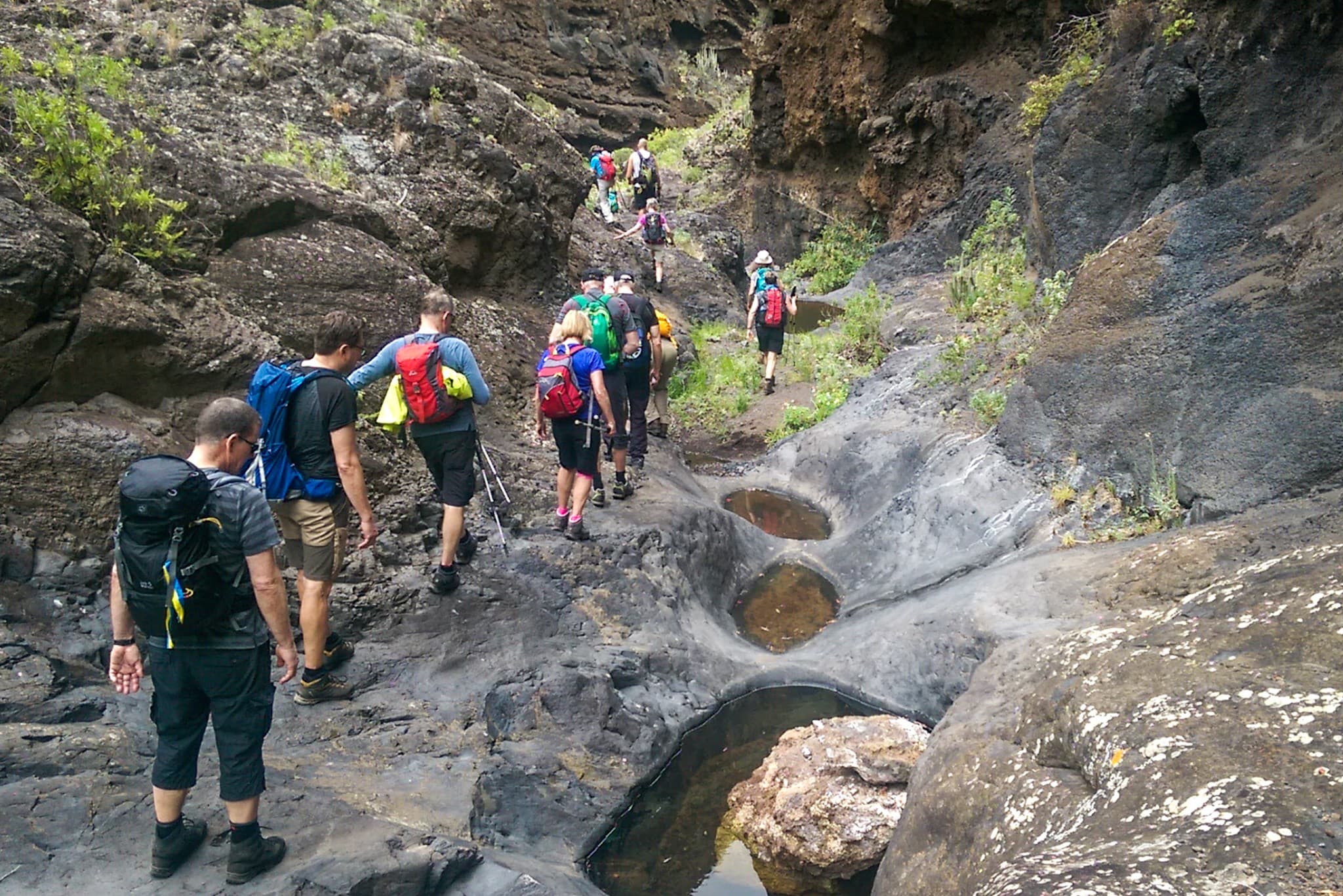 wp-16773589045815654092717626487872