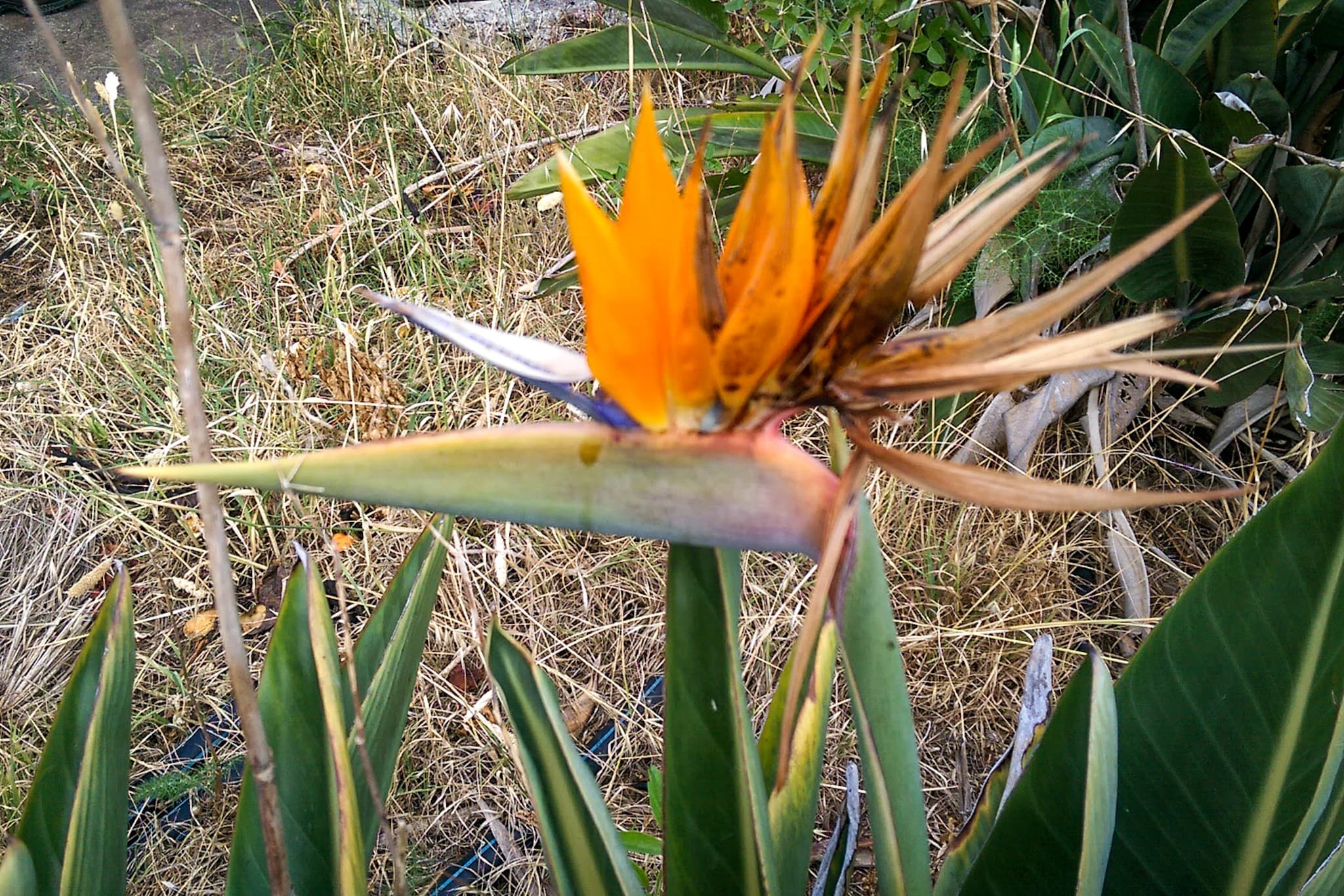 wp-16773589057845809472589747822385