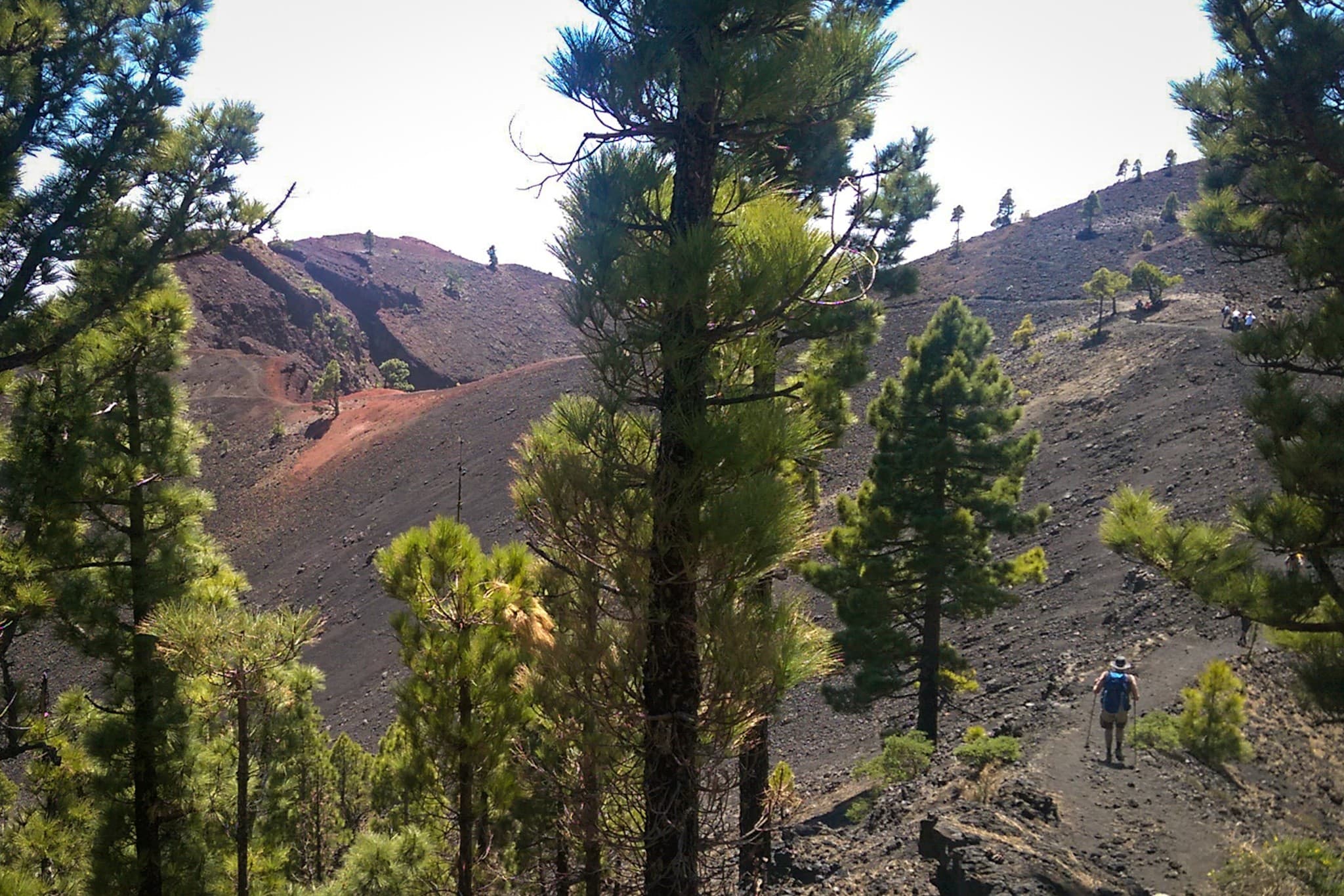 wp-16773605214374283632556639860914