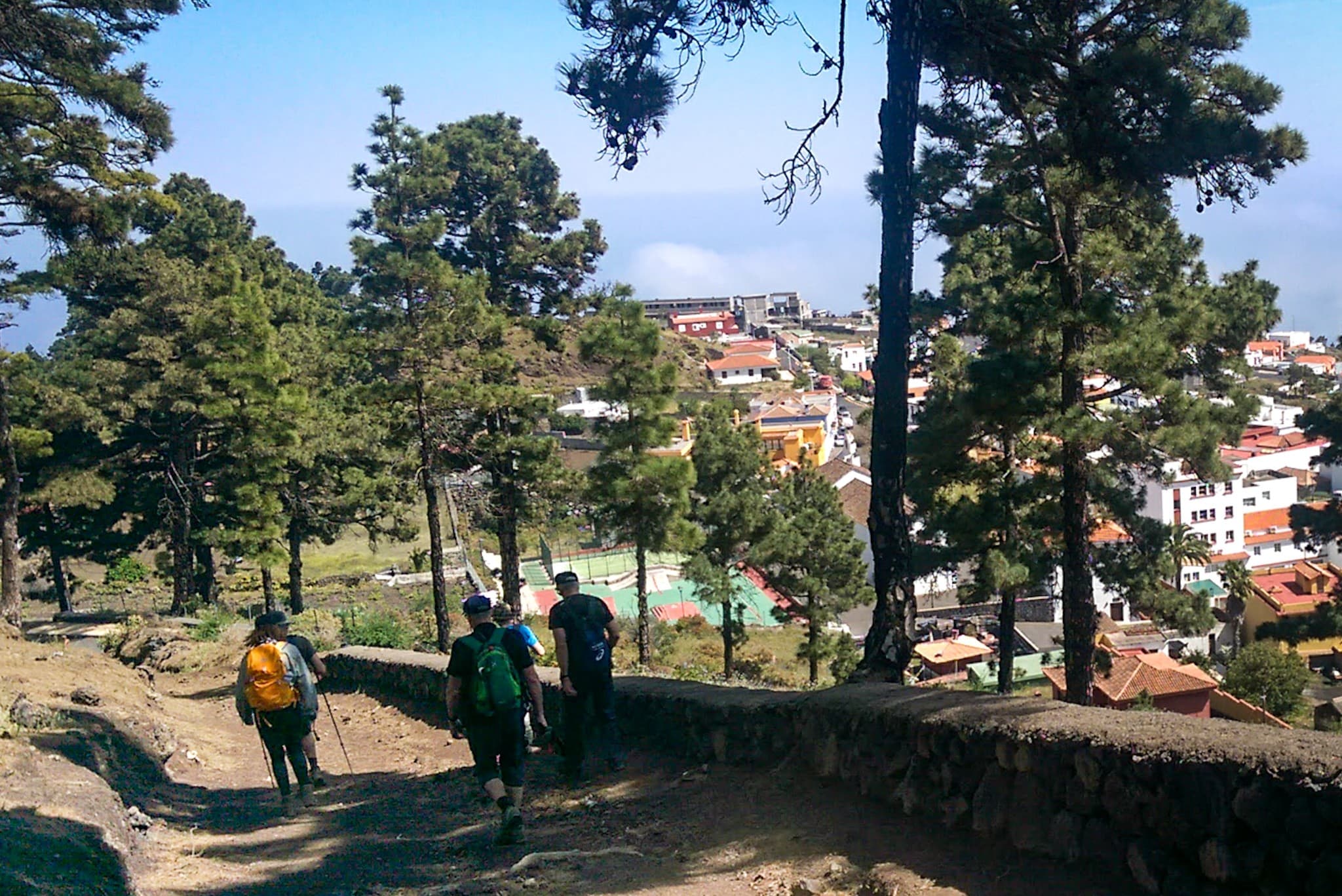 wp-16773605212802806156192554528446