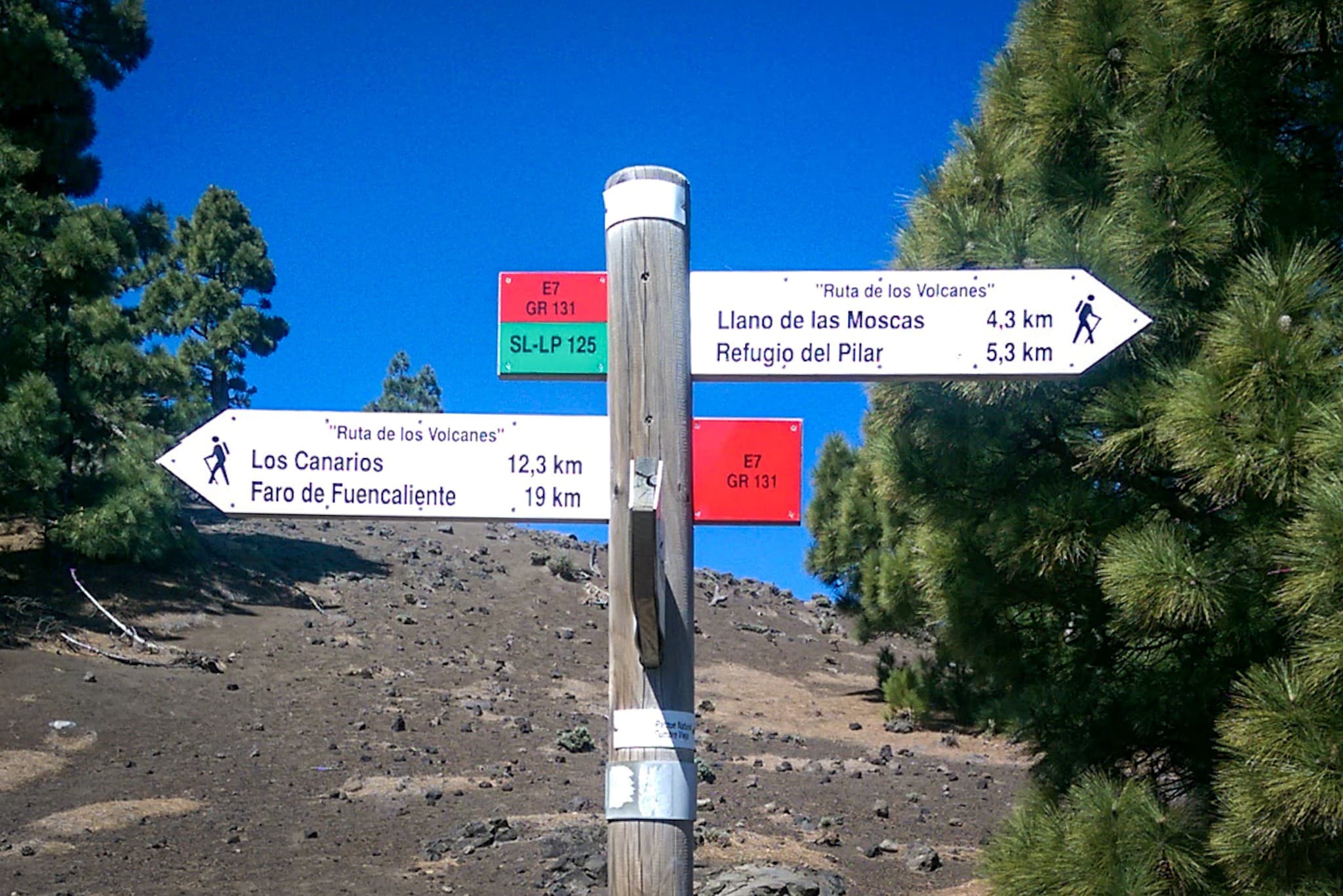 wp-16773605225897064623531726202396