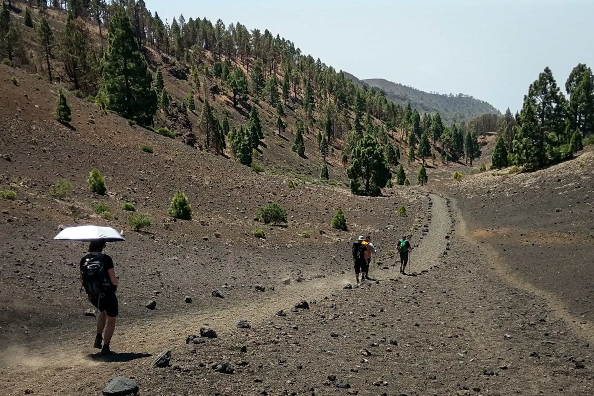 wp-16773605227355774339815937459997