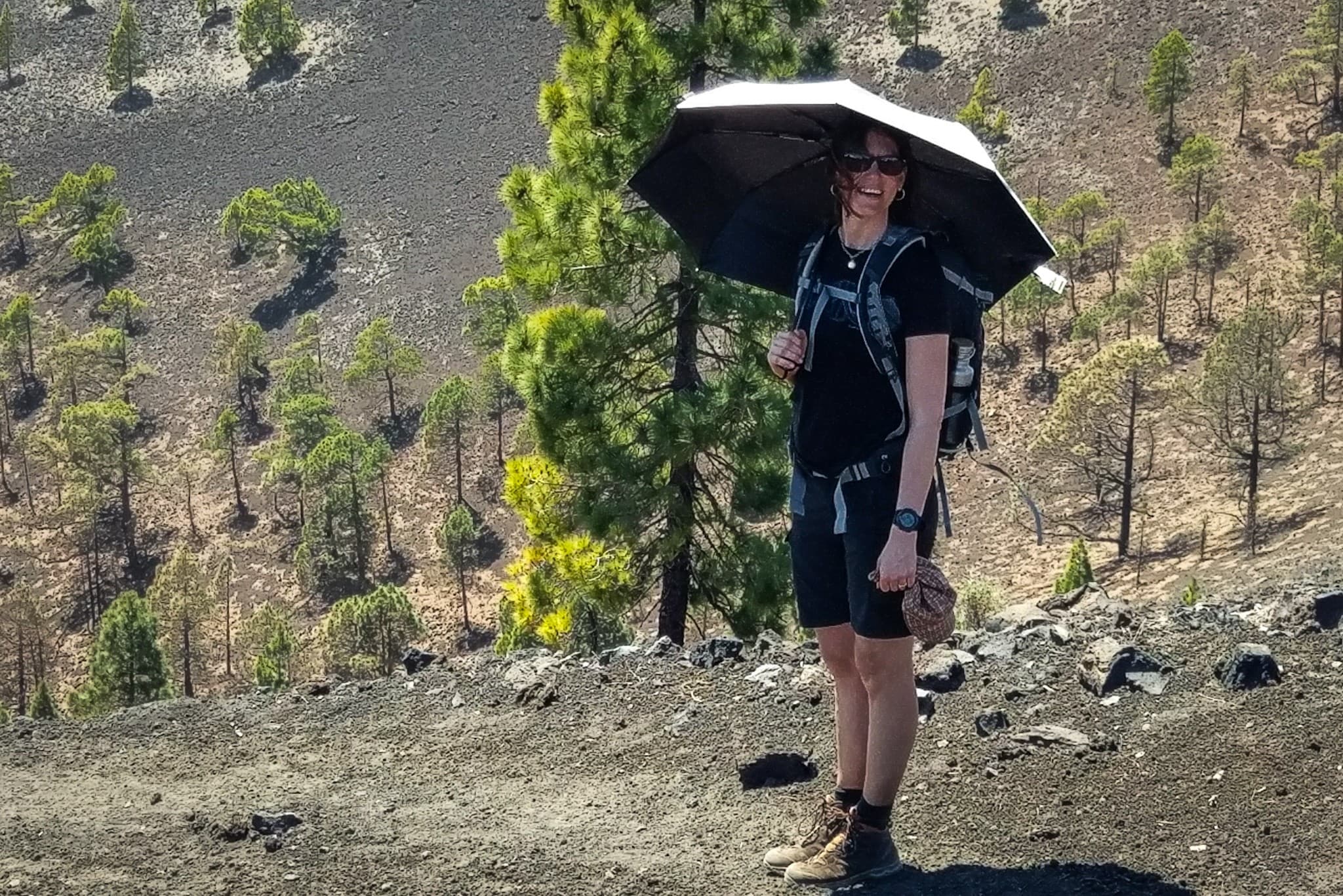 wp-16773605229097461770112944597930