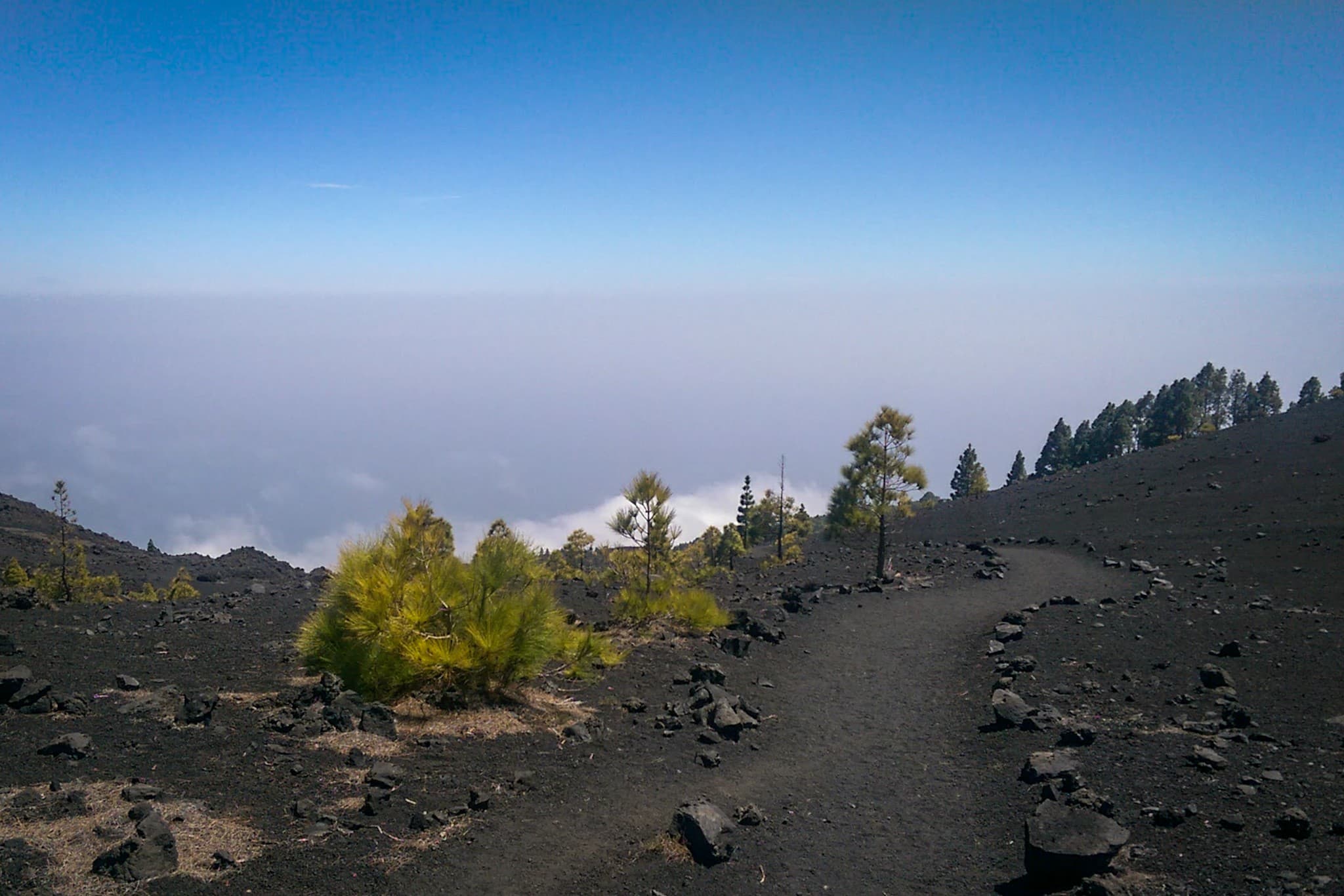 wp-16773605220154497858951519592144