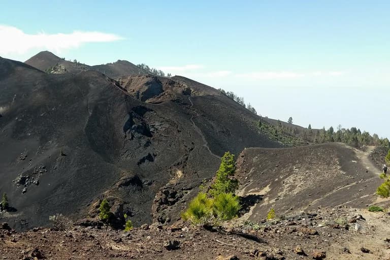 wp-16773612999541130943962004988934