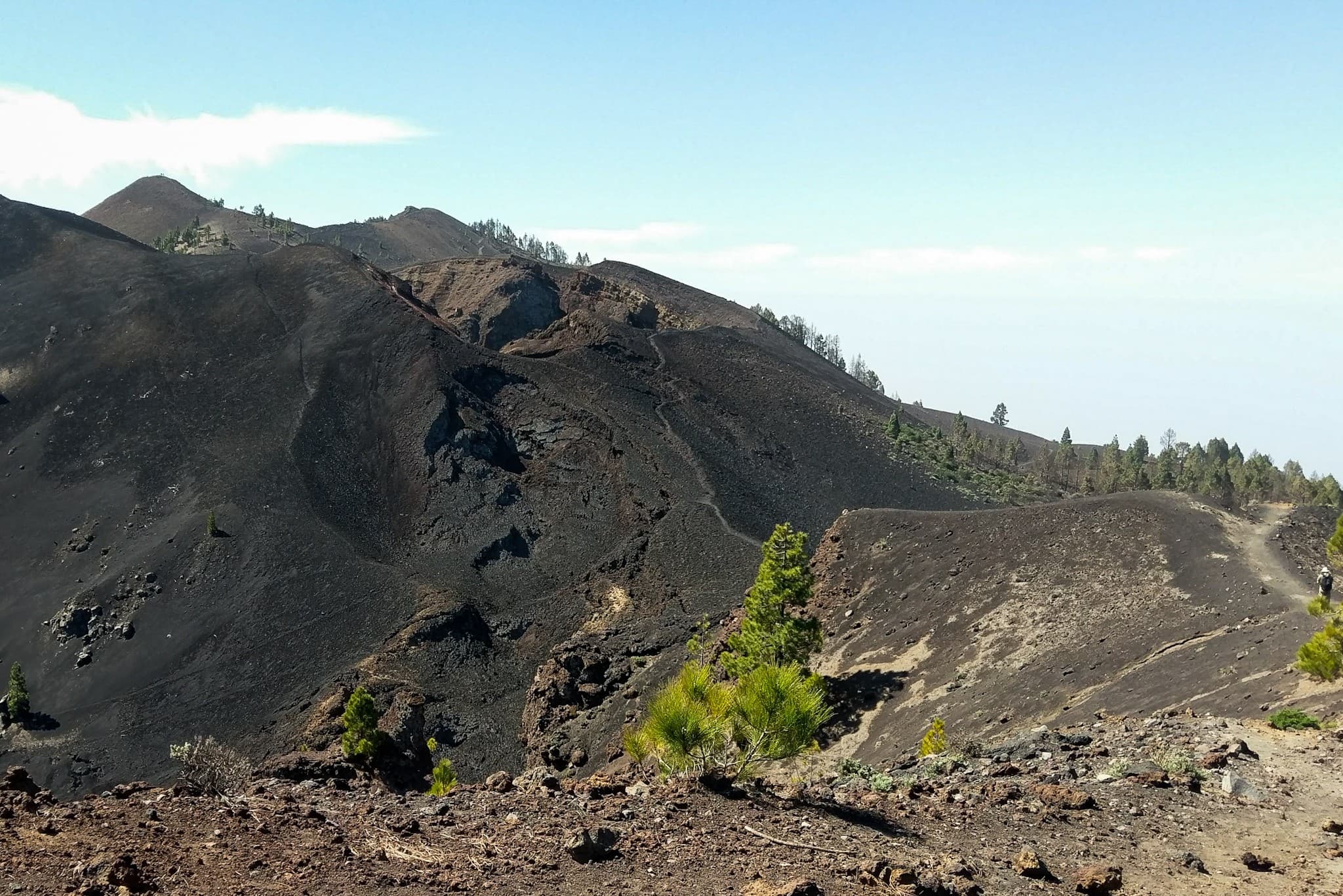 wp-16773612999541130943962004988934