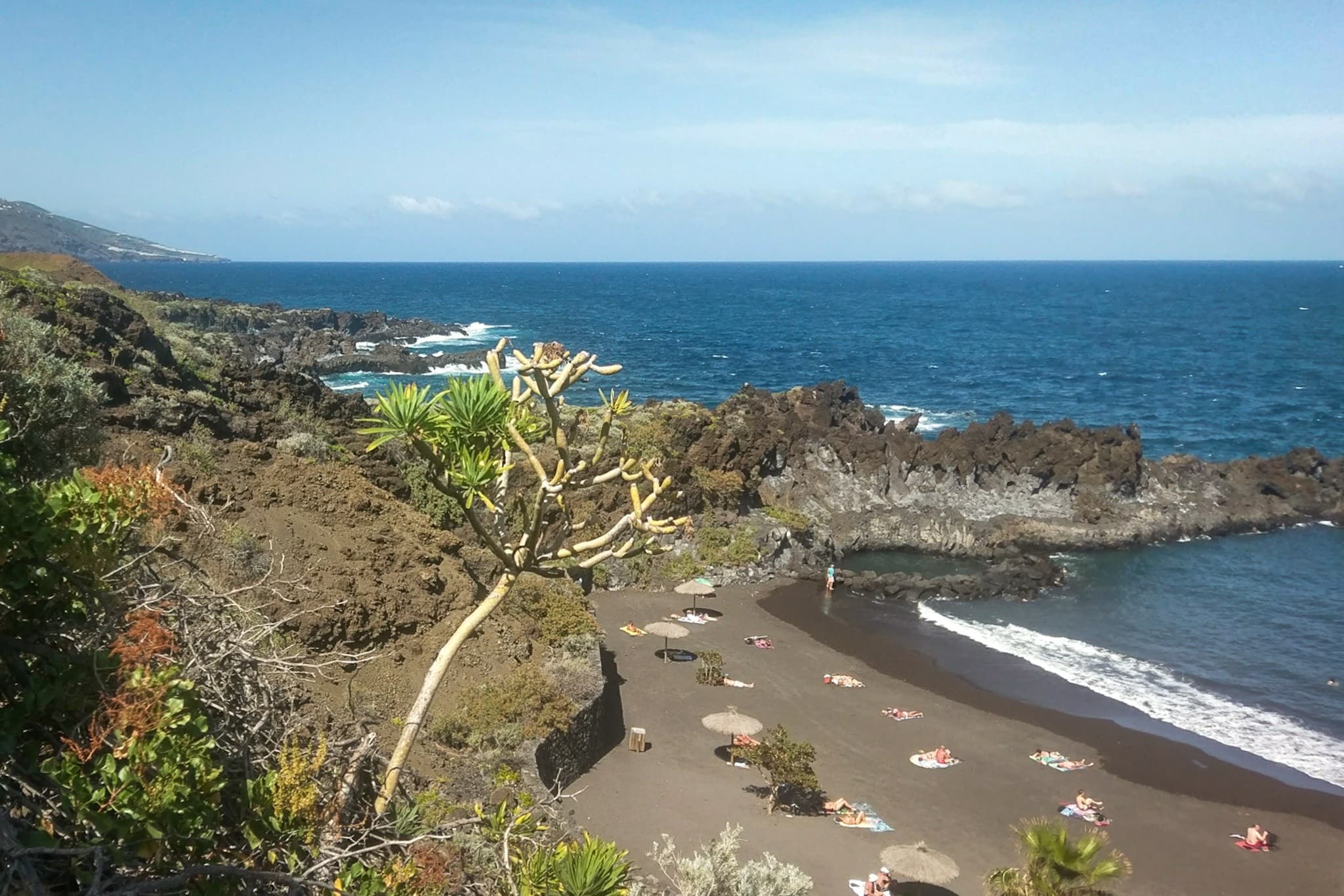 wp-16773980105501702544364670206226