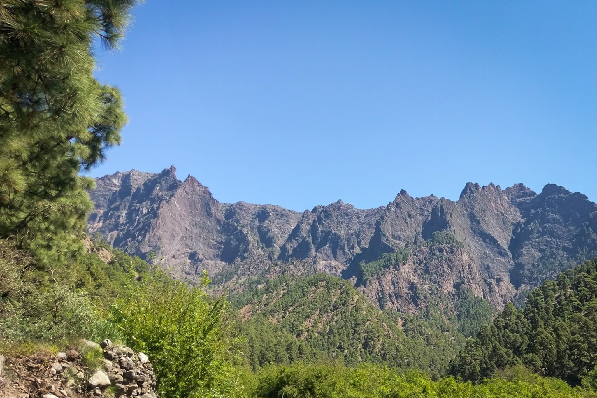 wp-16773992449674734188304990692412