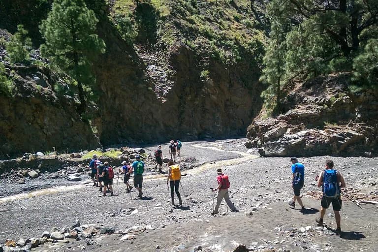 wp-16773992453112976835019499763124