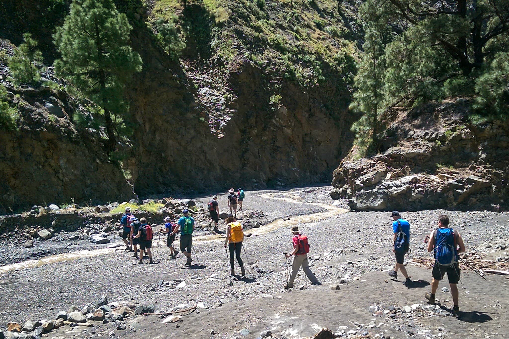 wp-16773992453112976835019499763124