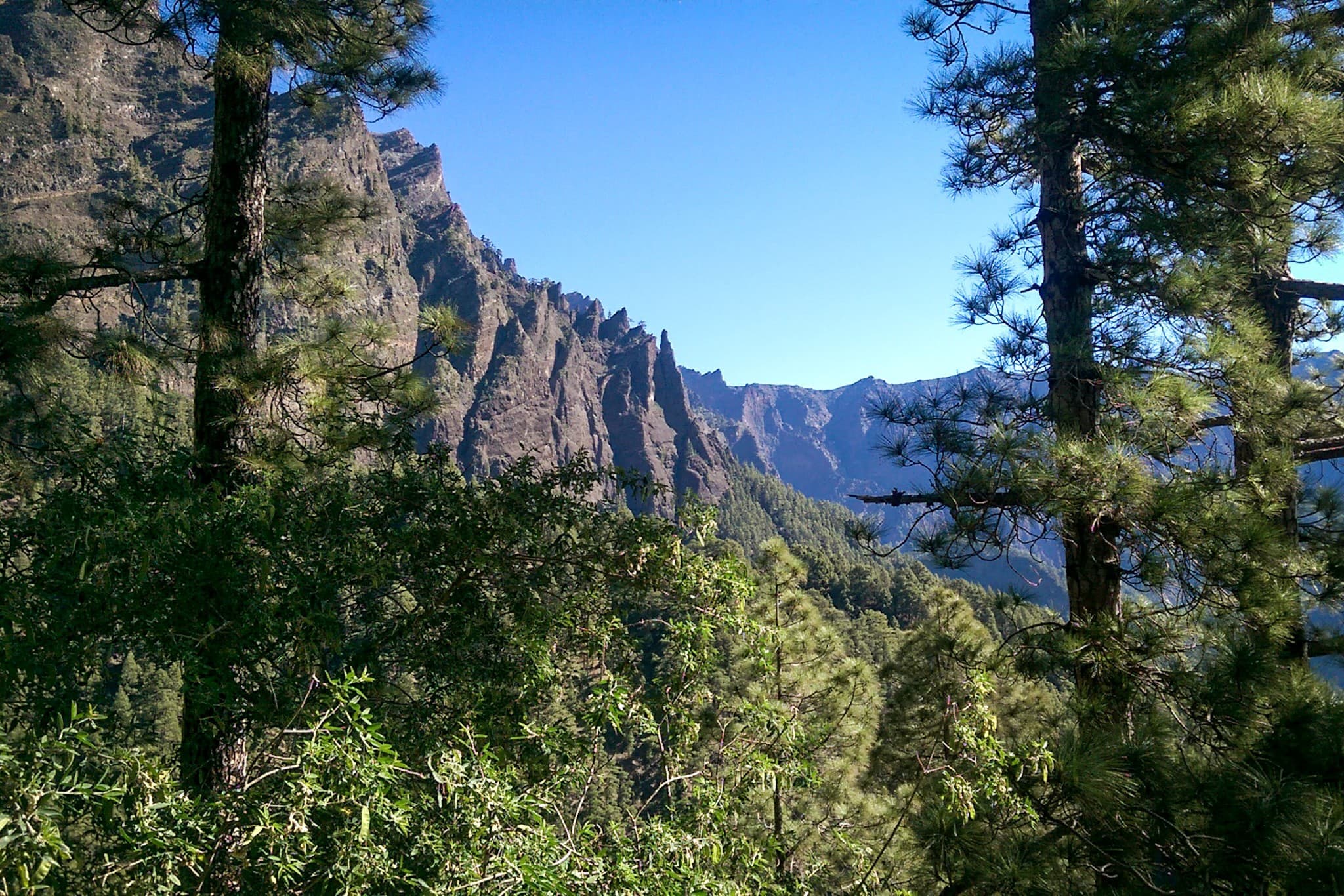 wp-16773992458198829682629696743361