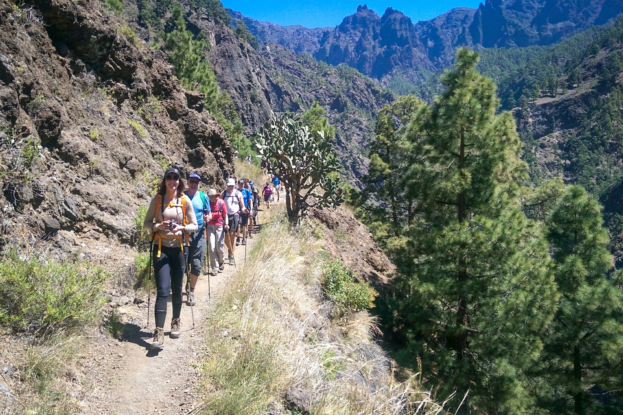 wp-16773992455491103199444621951154