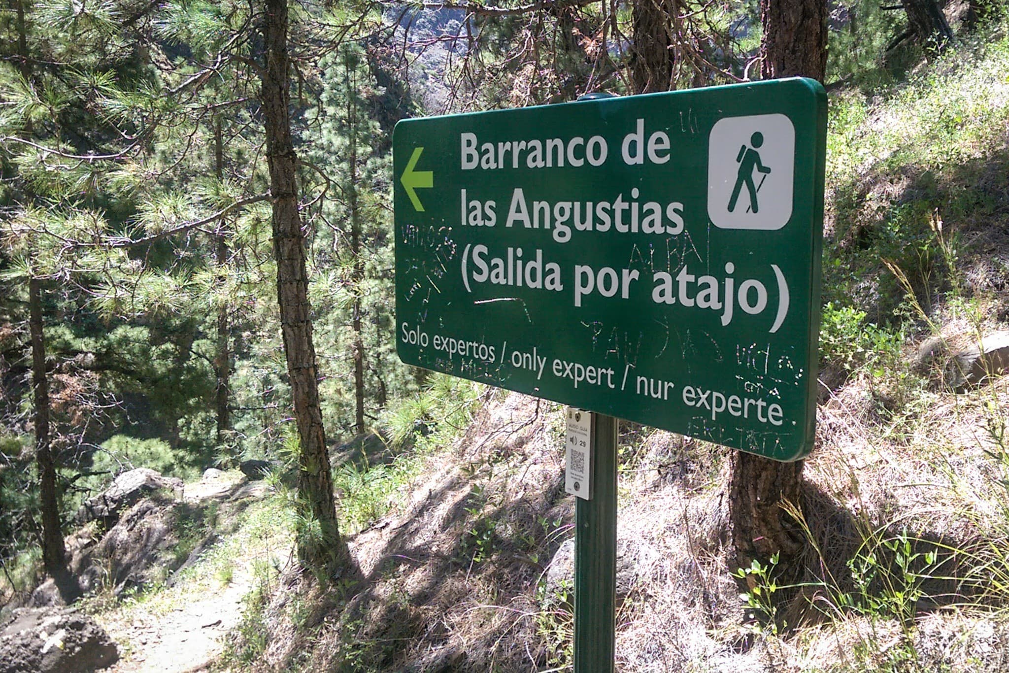 wp-16773992468733087587132116309768