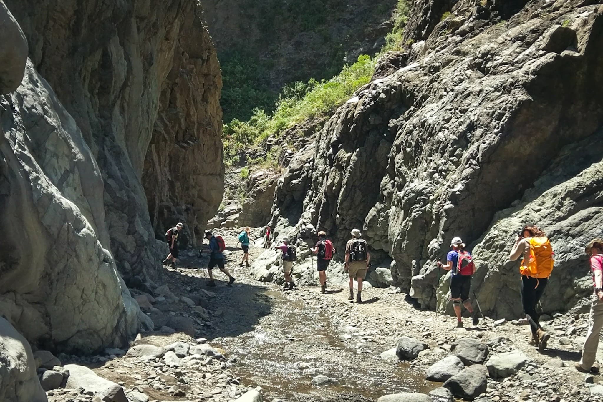 wp-16773992462601960153113980310771