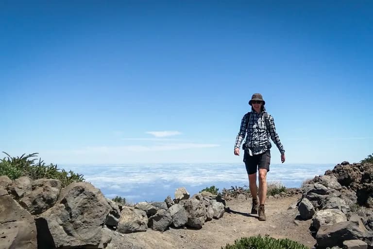 wp-16774007193975594783736121078580