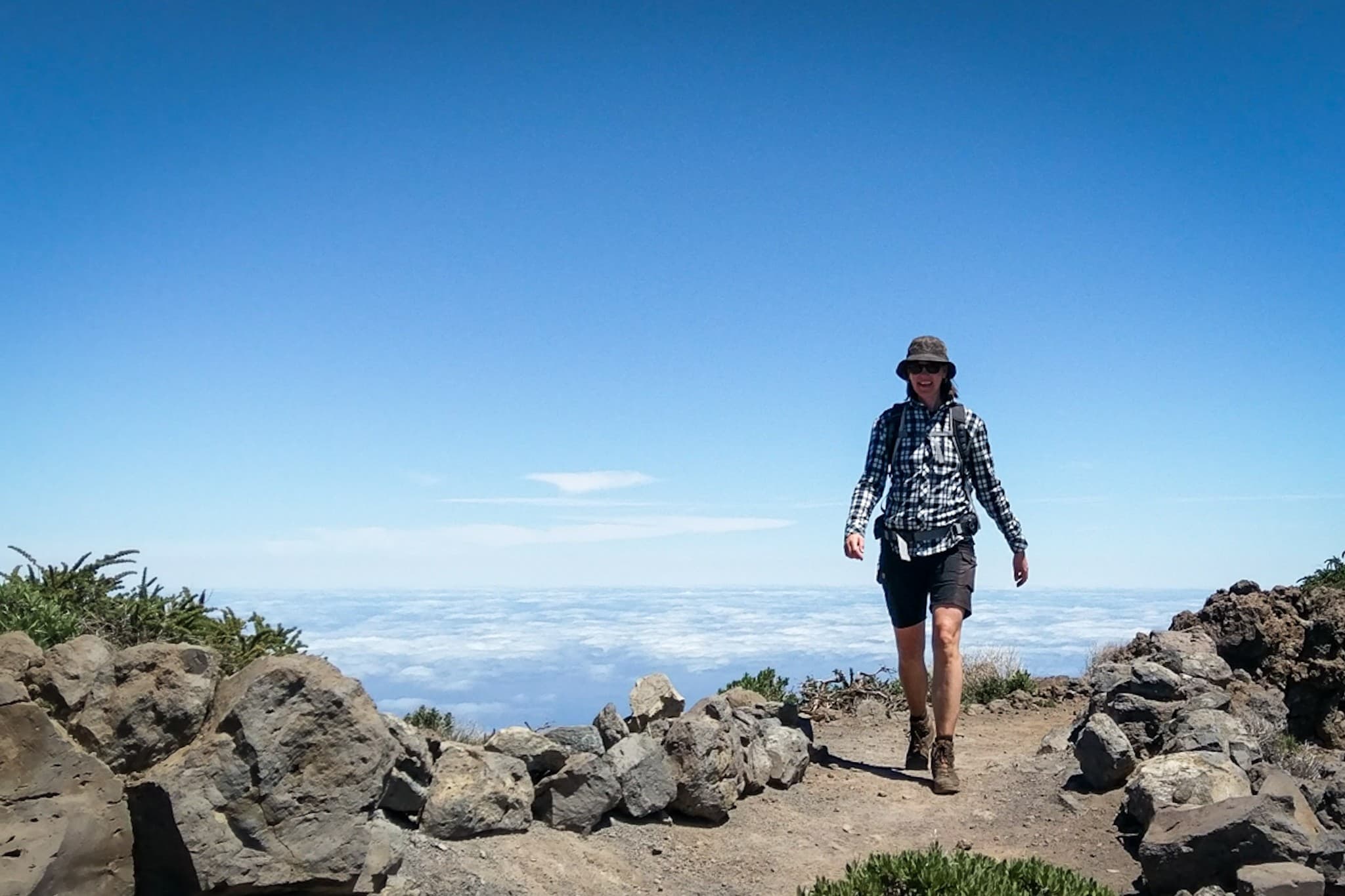 wp-16774007193975594783736121078580