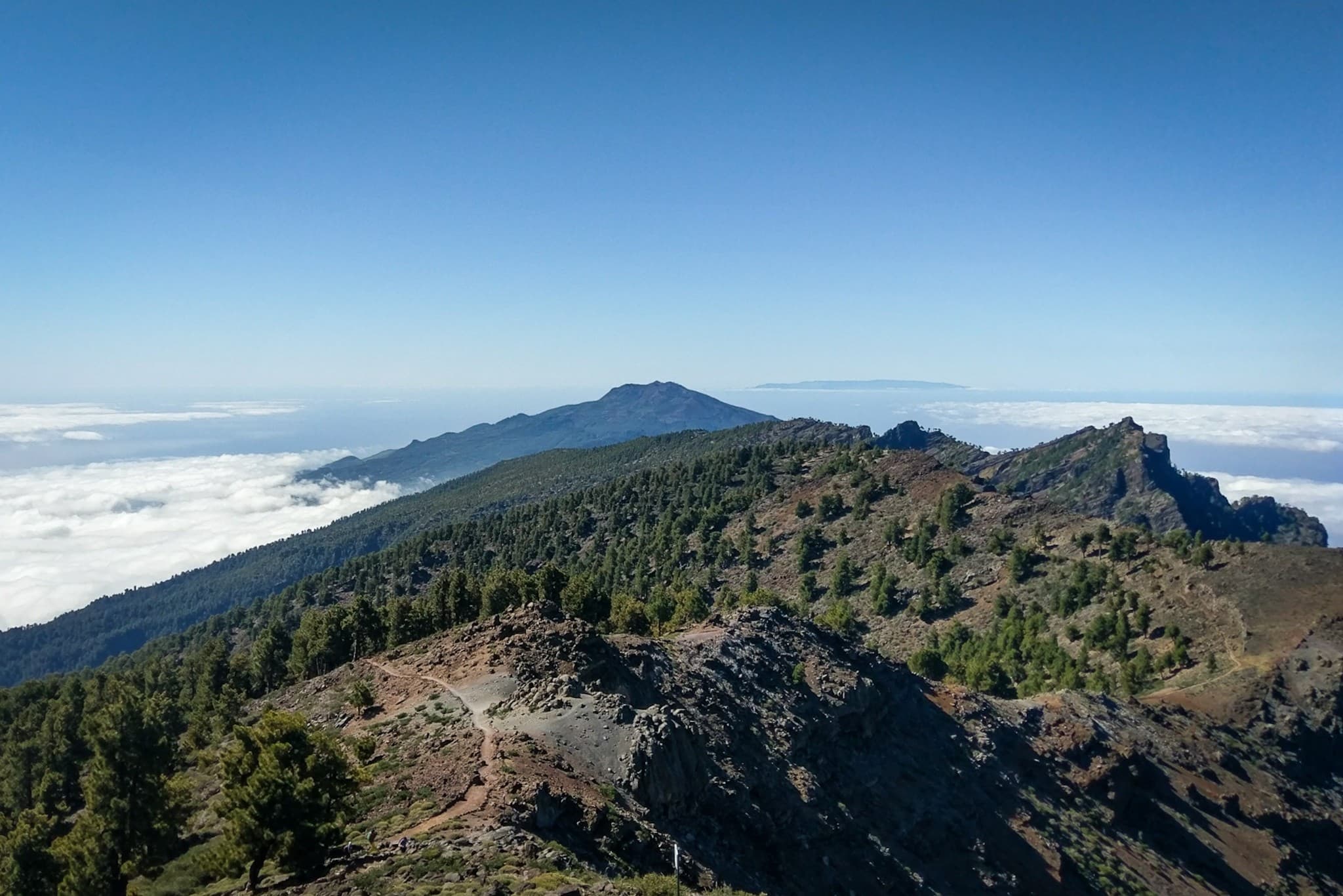 wp-16774007205509172246729620608828