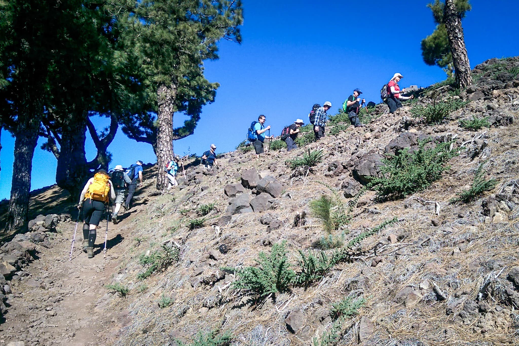 wp-16774007203068145758105239904738