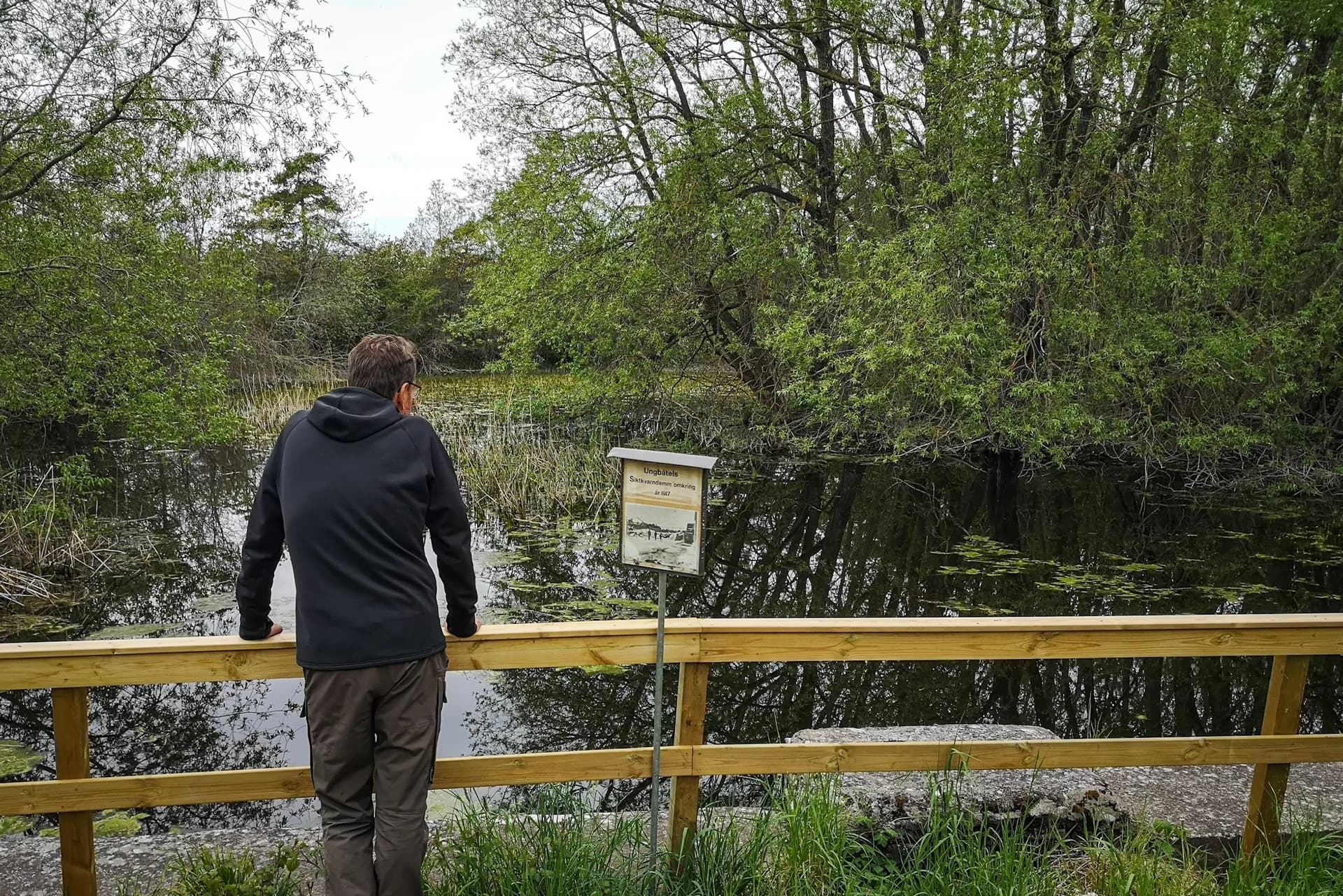 wp-16775144540657069323150117706356