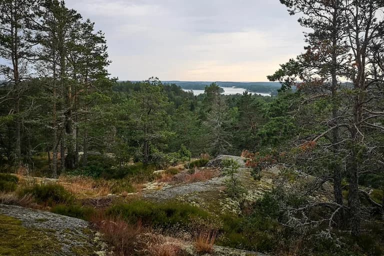 wp-16775932720458249936226032741833