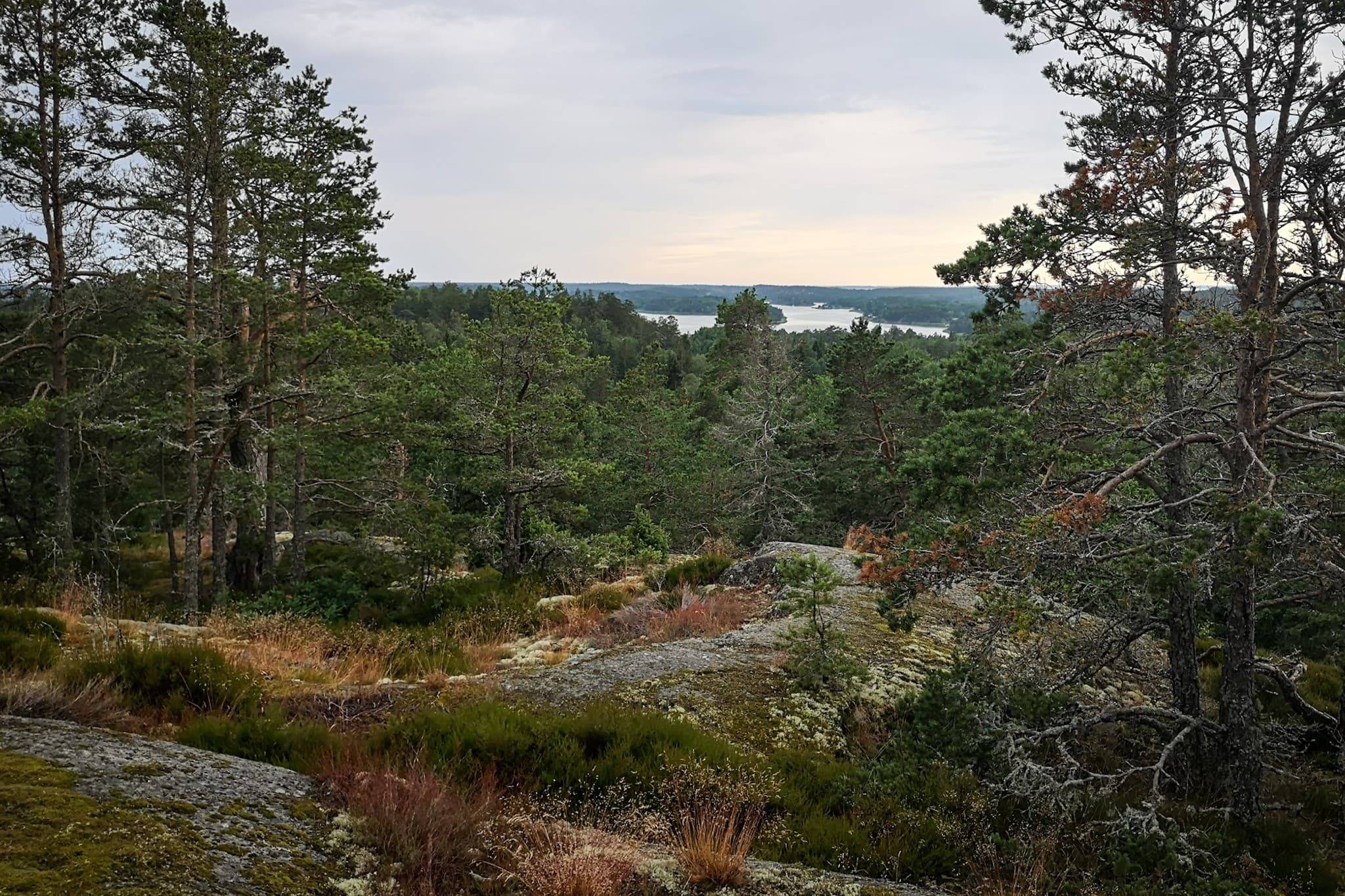 wp-16775932720458249936226032741833