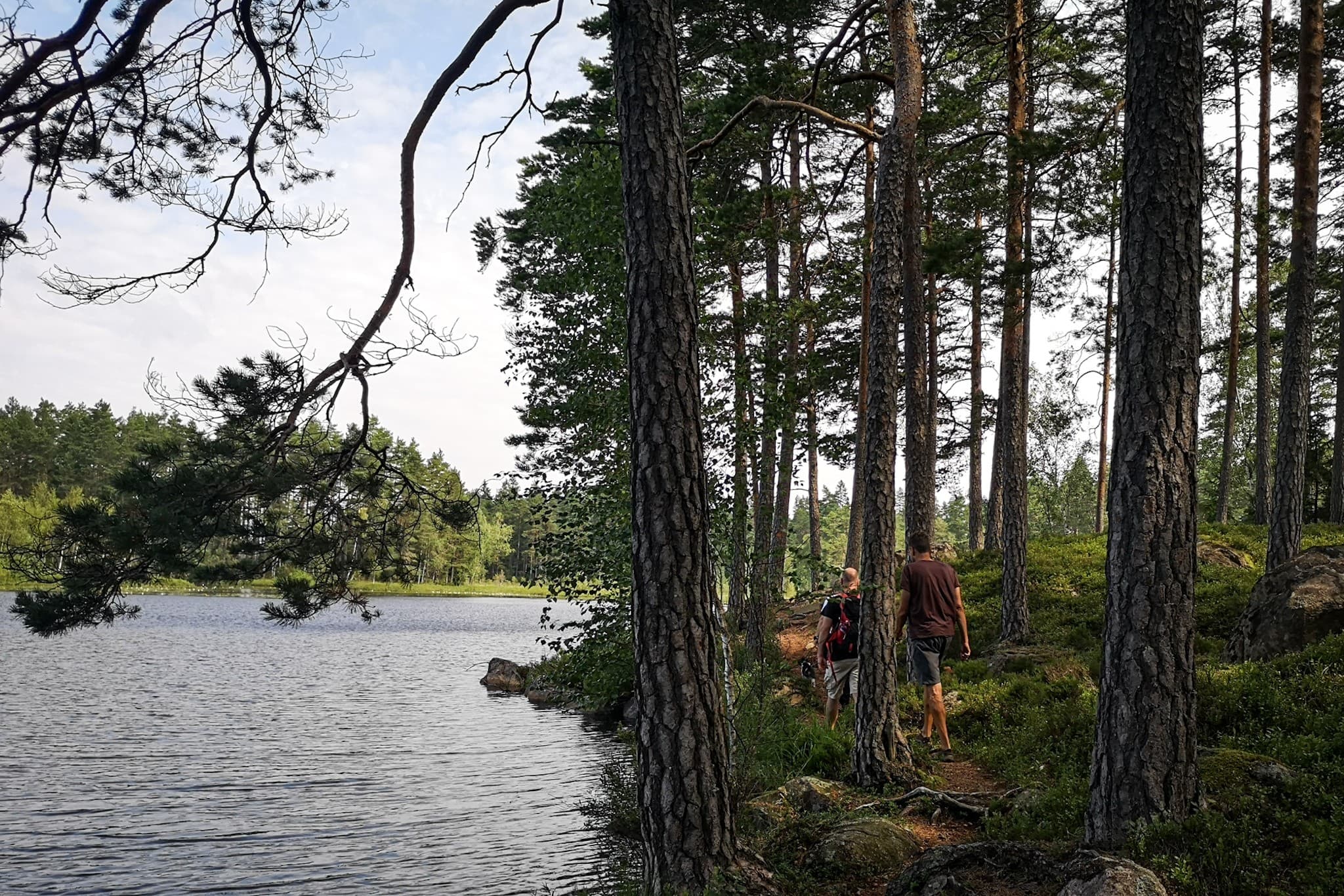 wp-16775932718014303646454227023180