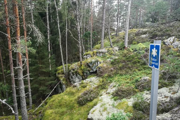 wp-16775932722517130990063137671248