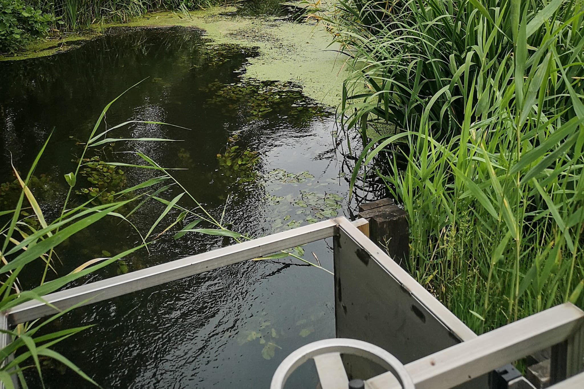 wp-16775932733707565205414425832951