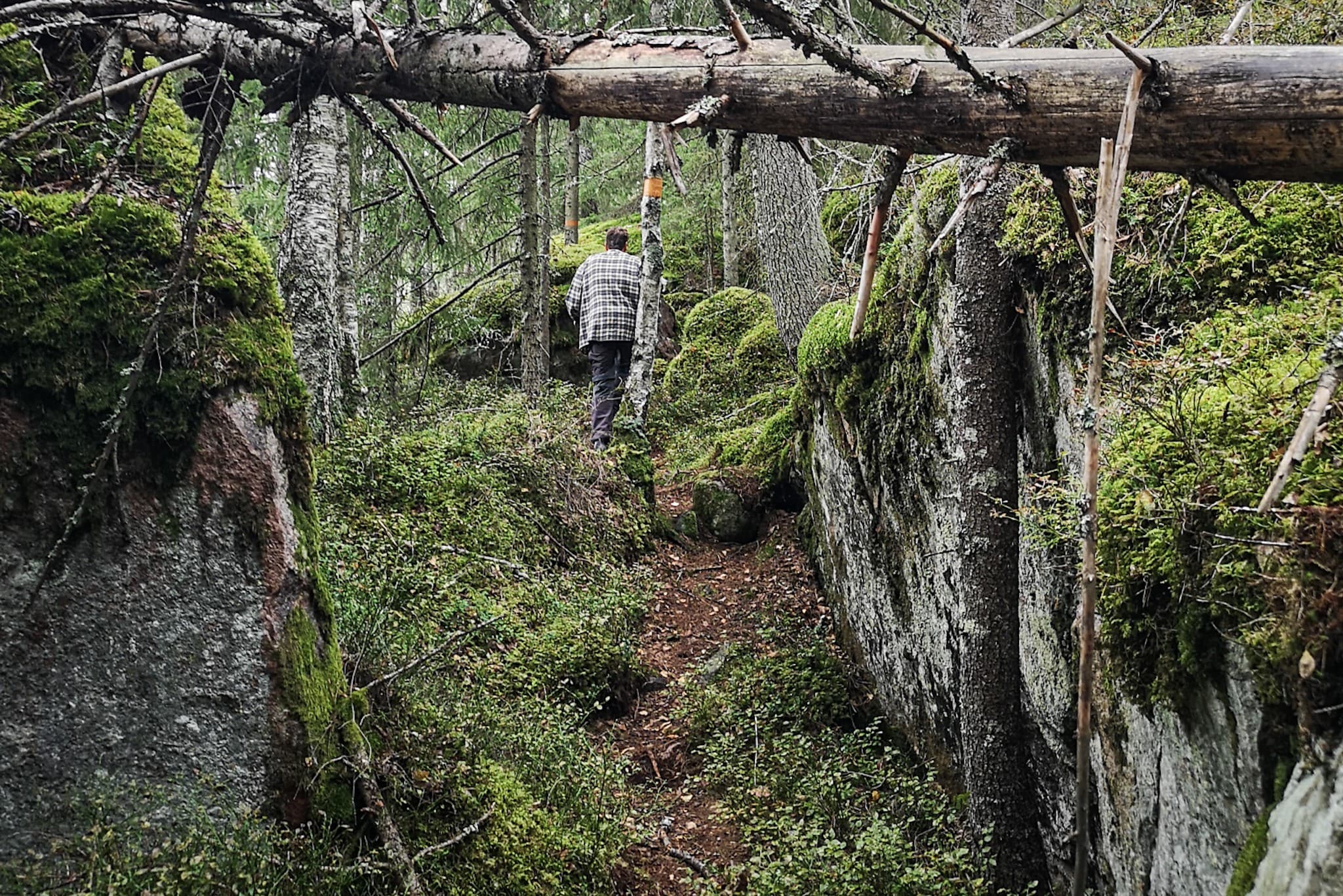 wp-16775932728985738558129216679524