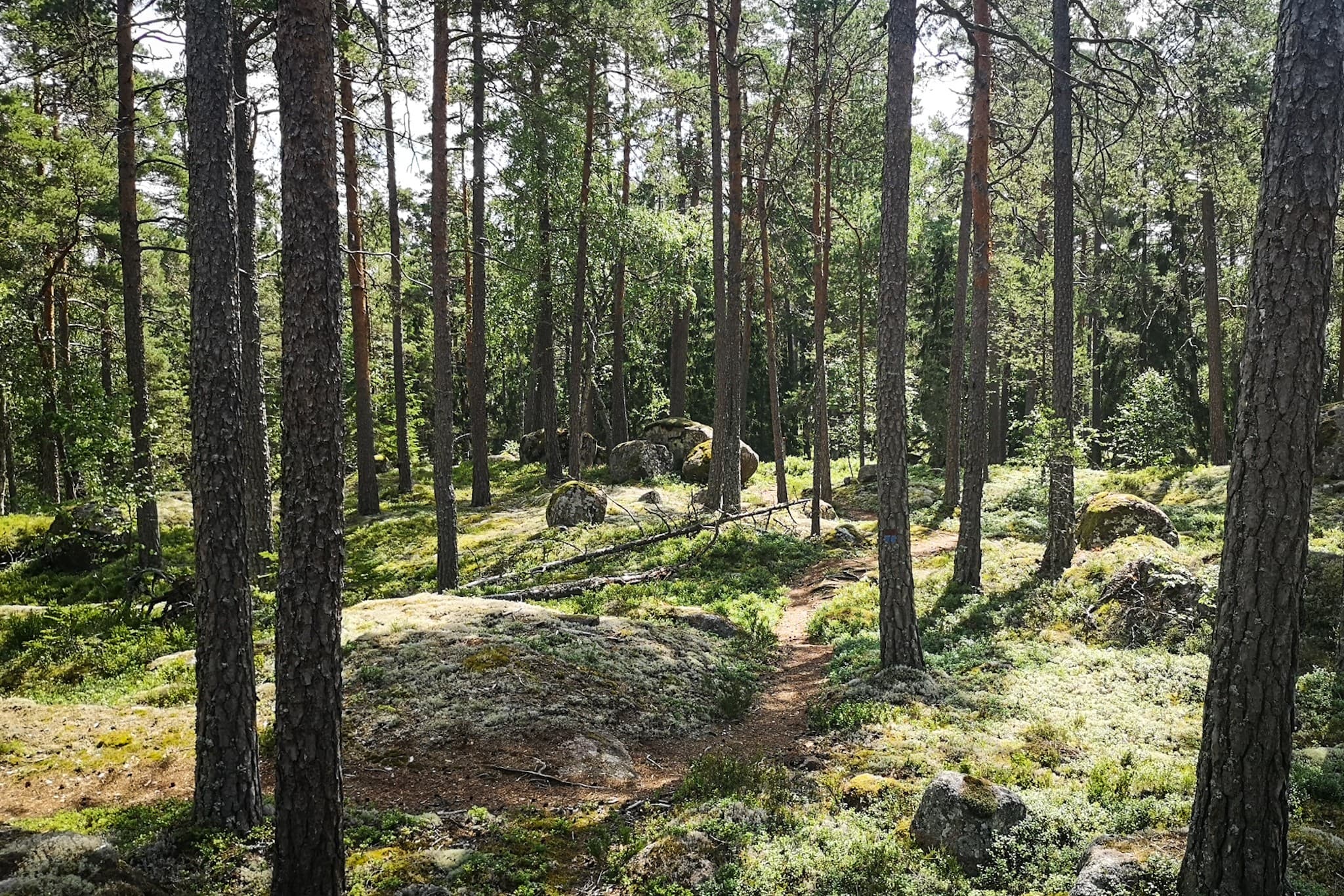 wp-16775932743228987392986698631166