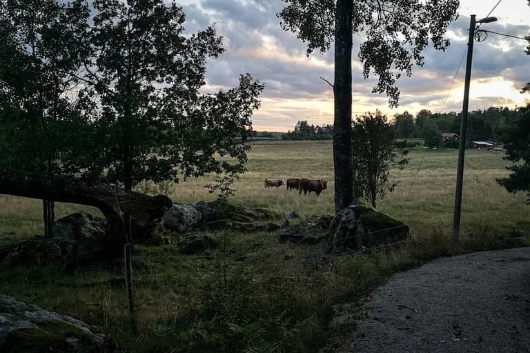 wp-16775932747581992762058173281485