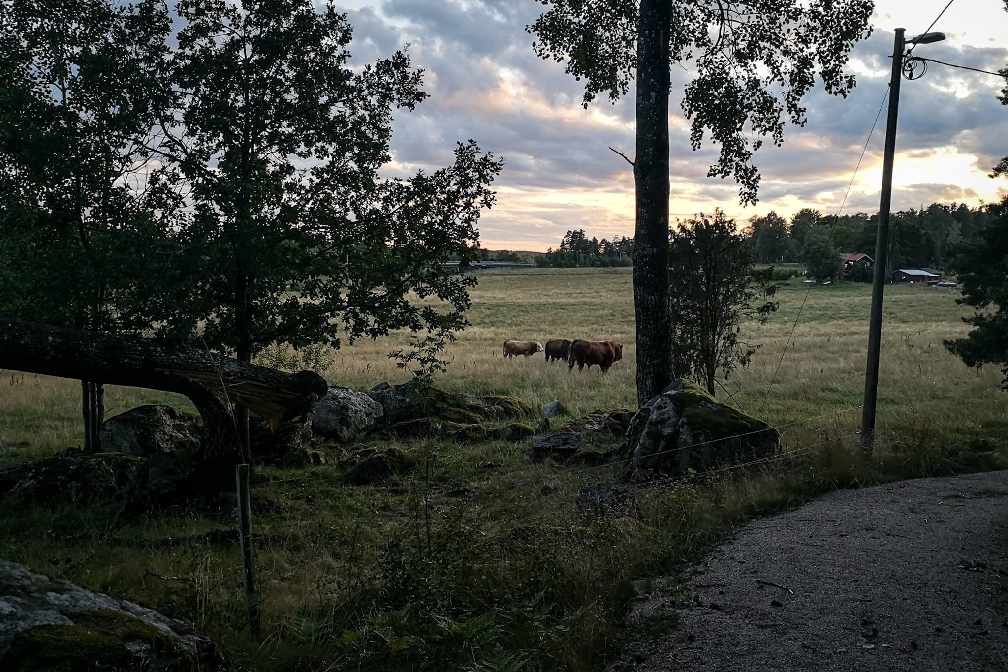 wp-16775932747581992762058173281485