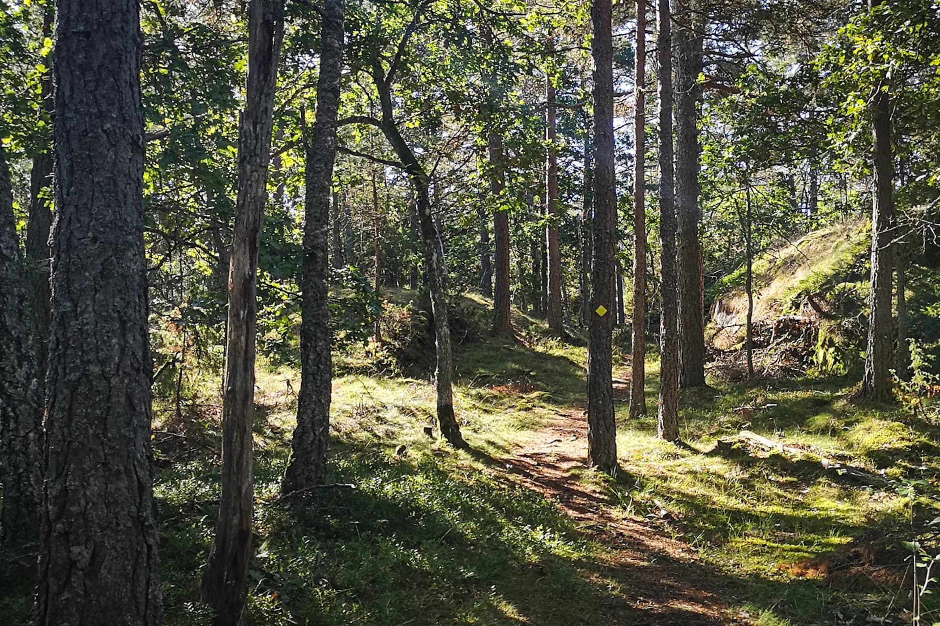 wp-16775932745471565364859490832778