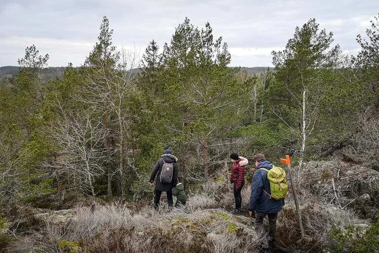 wp-16775934661102628978170303741628