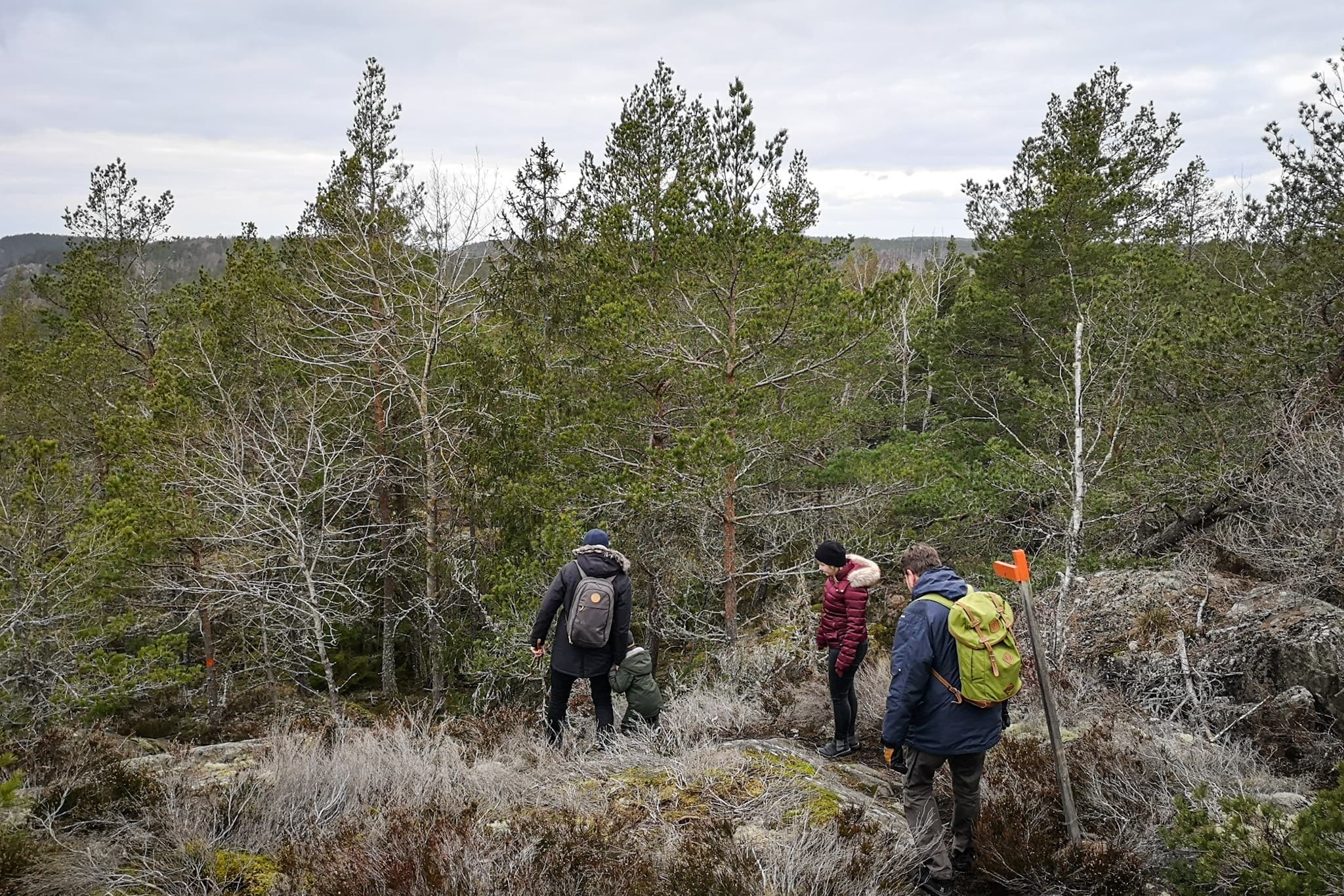 wp-16775934661102628978170303741628